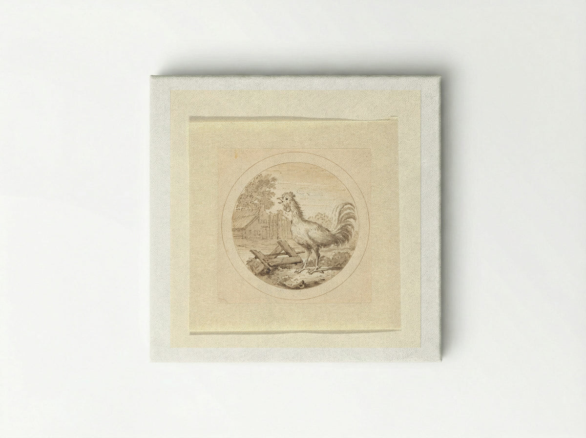 De Haan (The Rooster) - Arnold Houbraken - Canvas