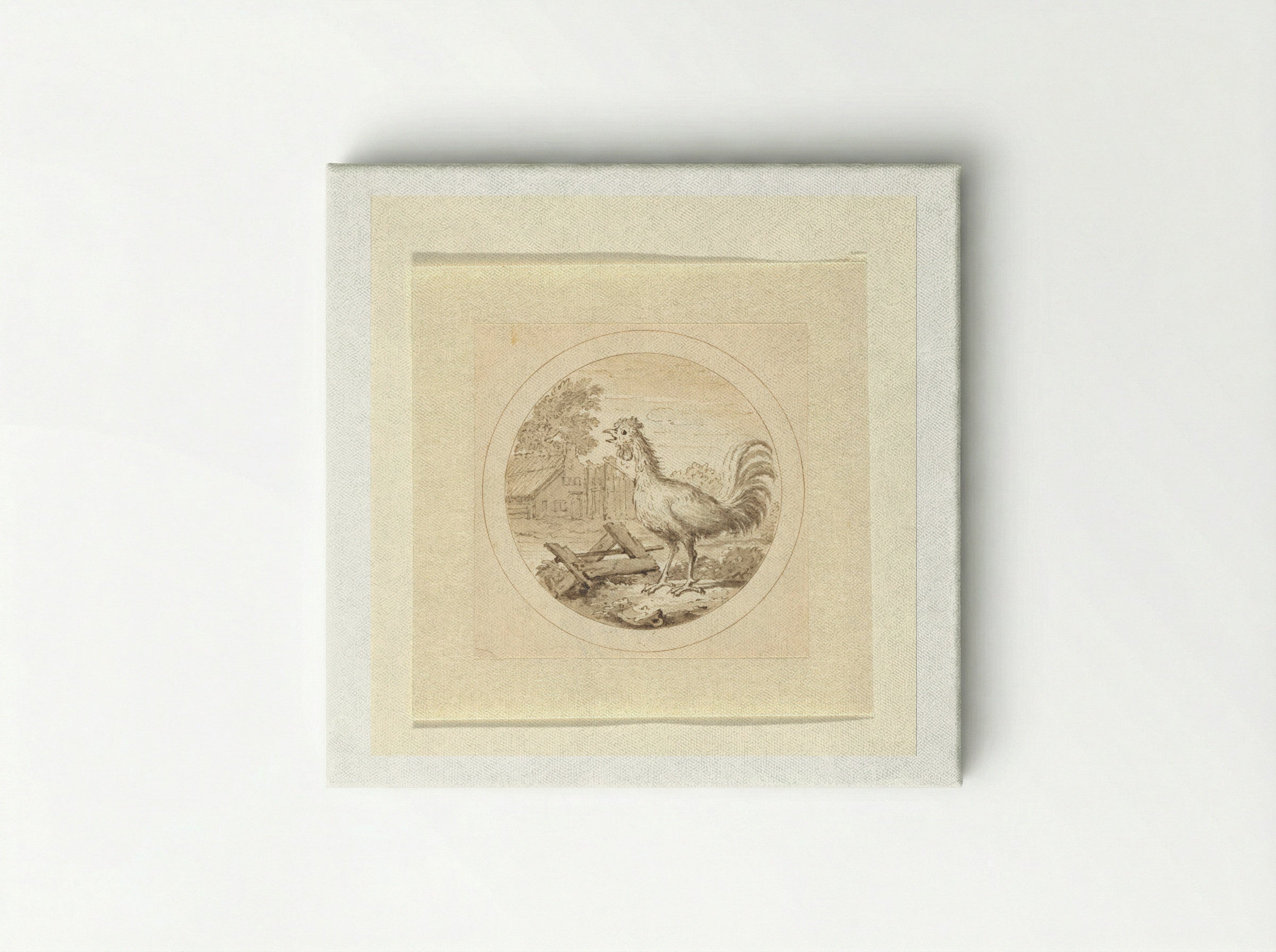 De Haan (The Rooster) - Arnold Houbraken - Canvas