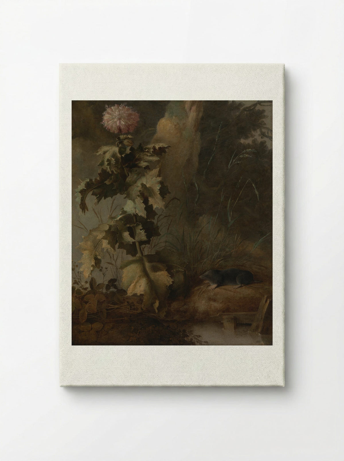 An Egyptian Poppy and a Water Mole - John Crome - Canvas