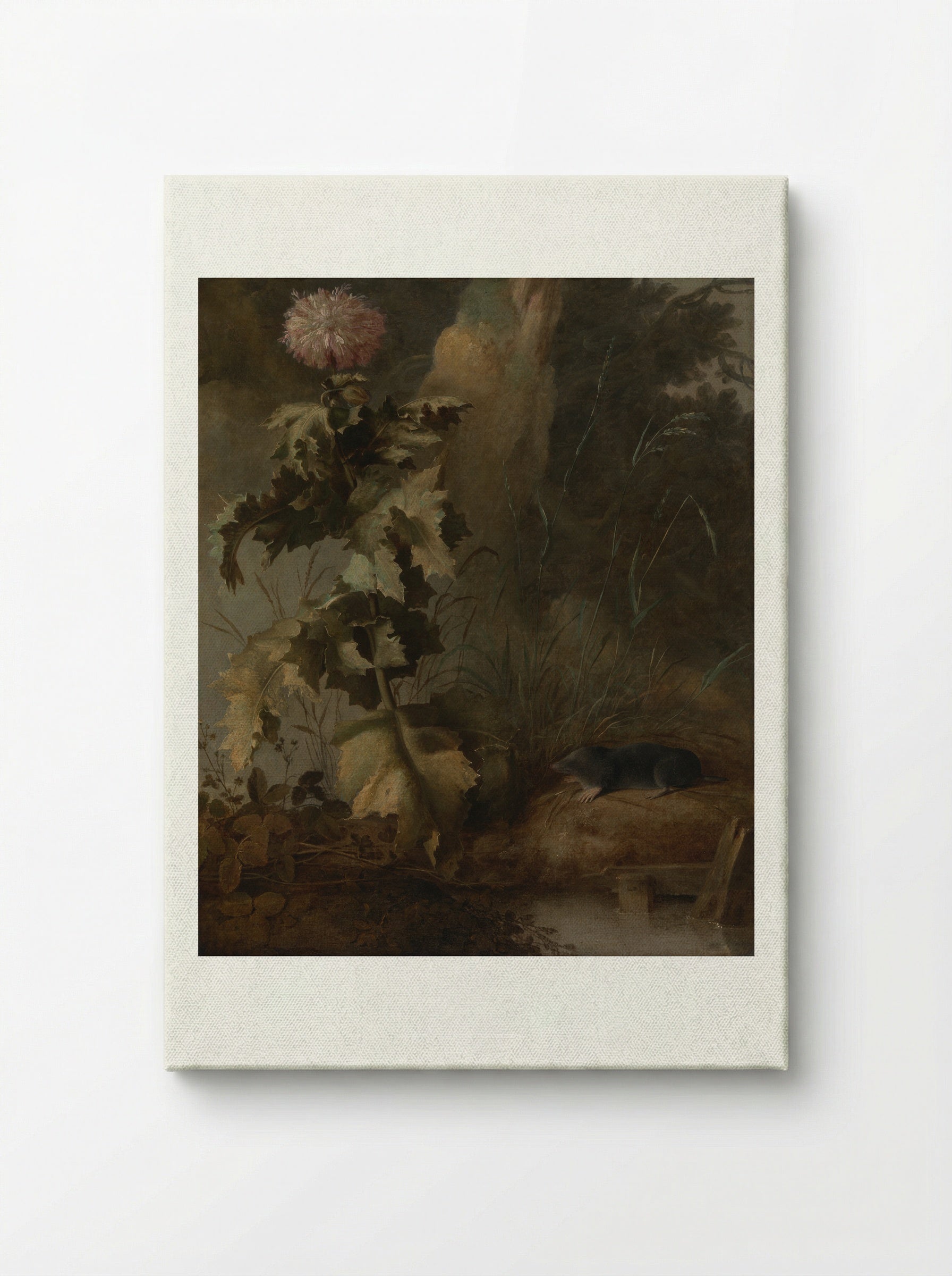 An Egyptian Poppy and a Water Mole - John Crome - Canvas