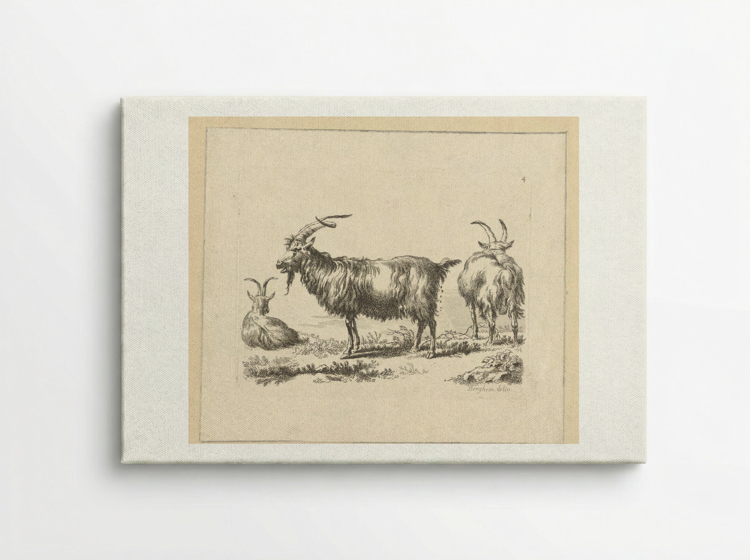 Drie geiten - François Vivares - Canvas