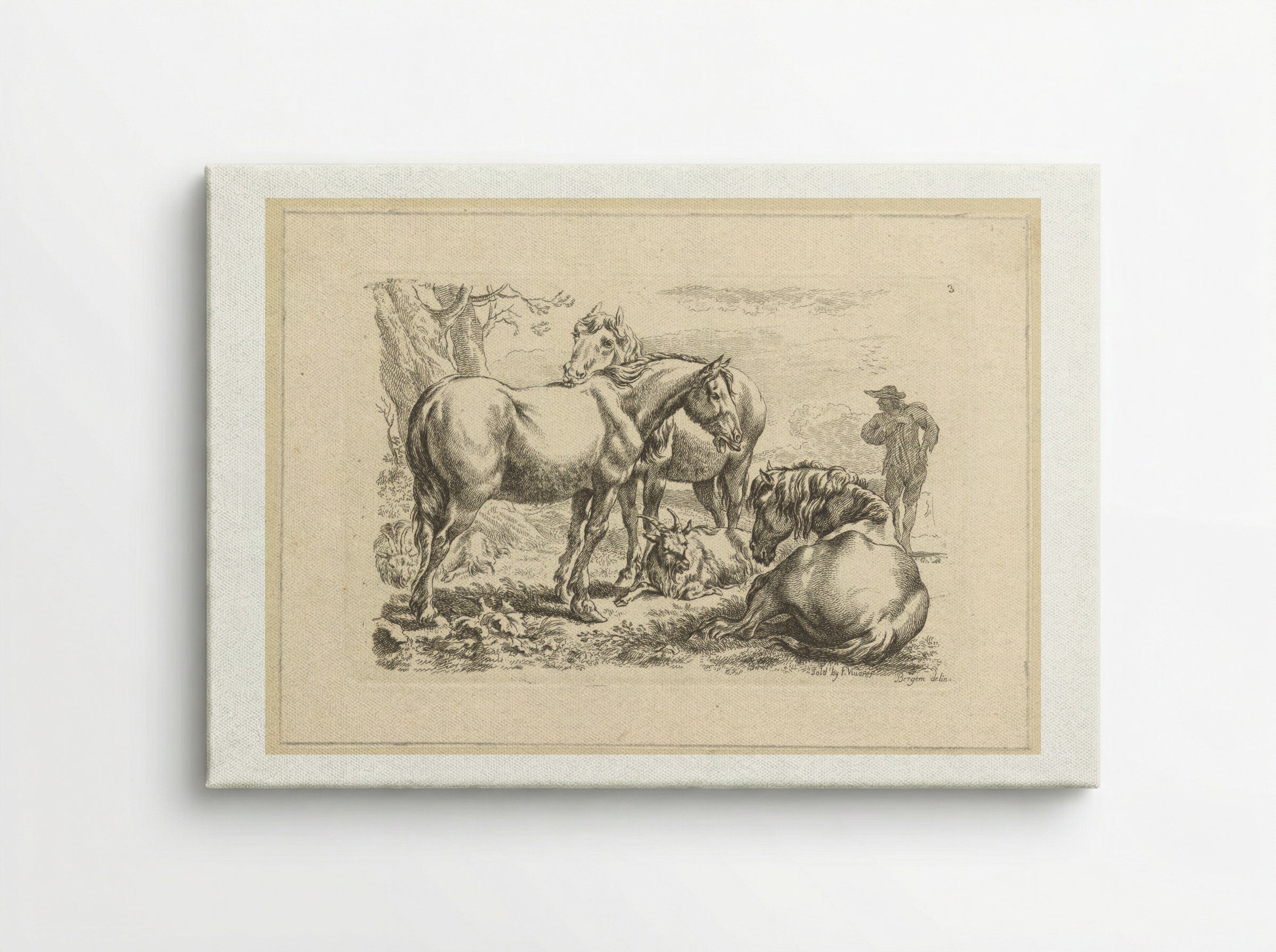 Drie paarden een geit - François Vivares - Canvas