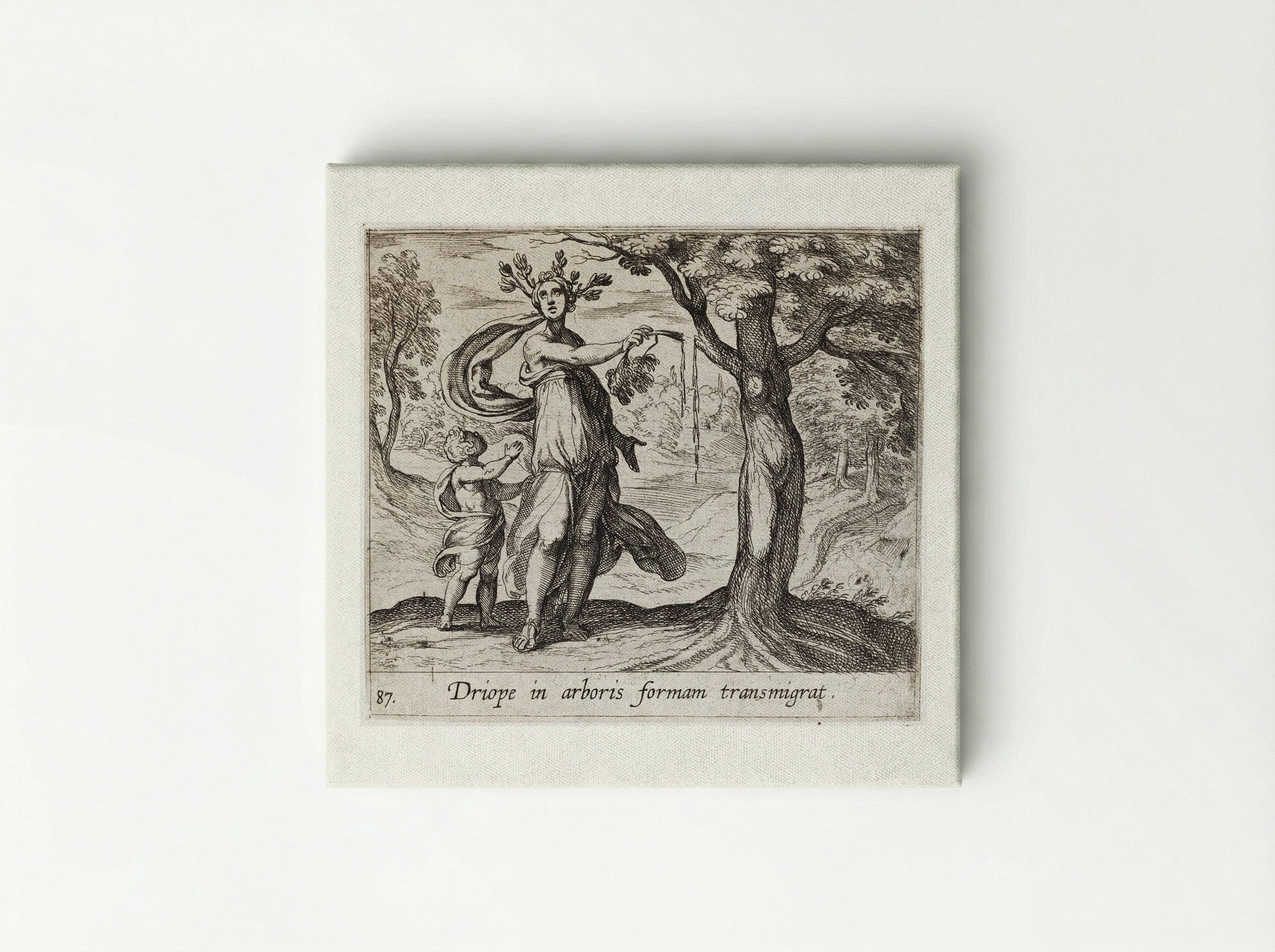 Dryope Changed into a Lotus Tree - Antonio Tempesta - Canvas