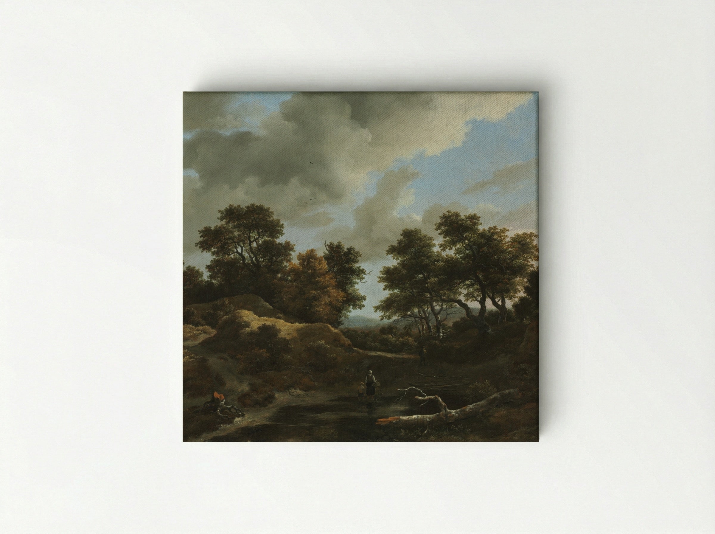 Wooded and Hilly Landscape - Jacob van Ruisdael - Canvas
