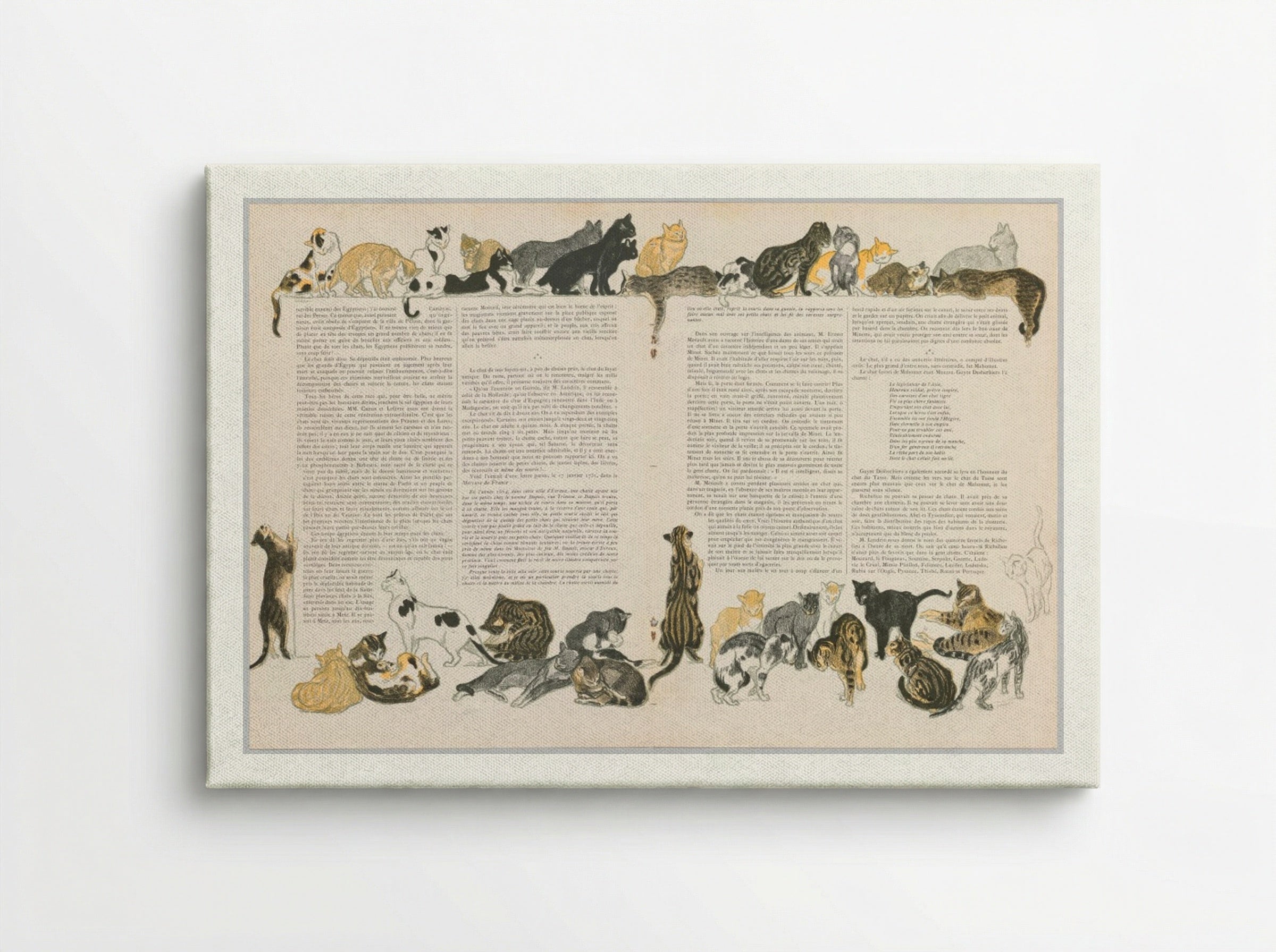 On Cats (Des Chats) - Théophile Alexandre Steinlen - Canvas