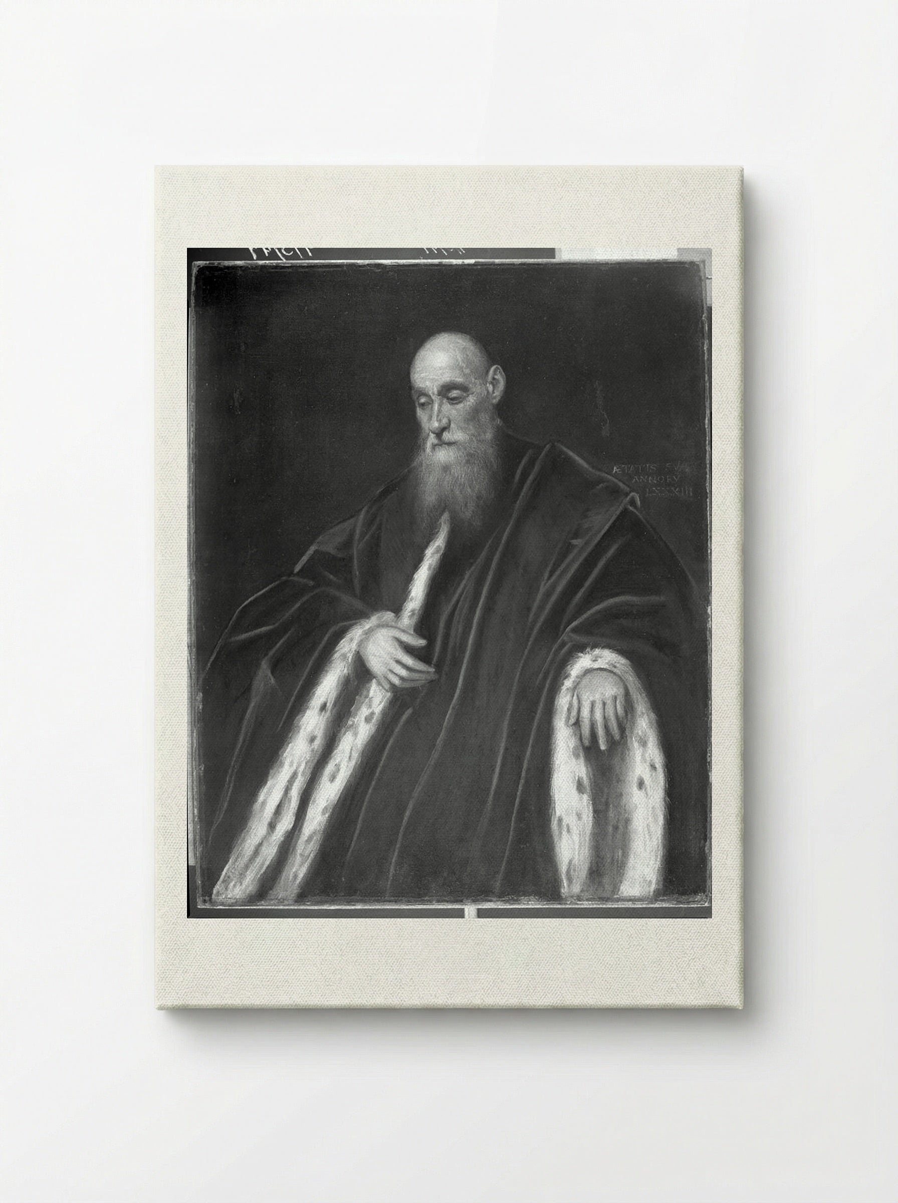 Portrait of a Venetian Senator - Domenico Tintoretto - Canvas