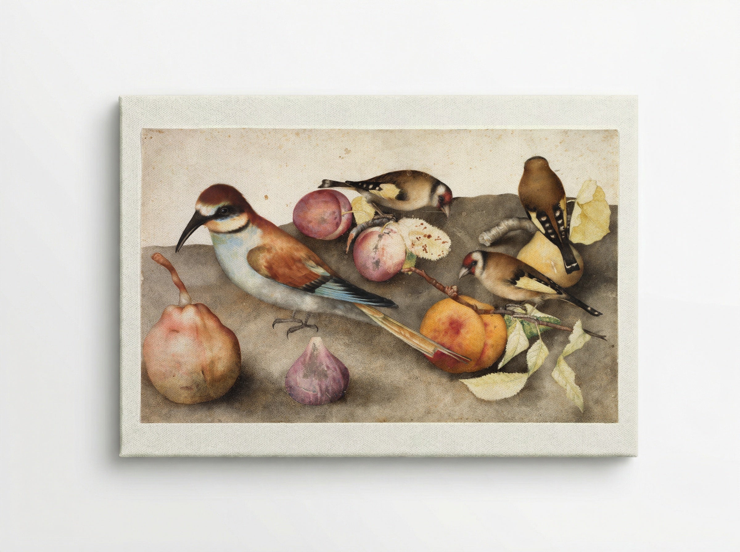 Still Life with Birds and Fruit - Giovanna Garzoni - Canvas