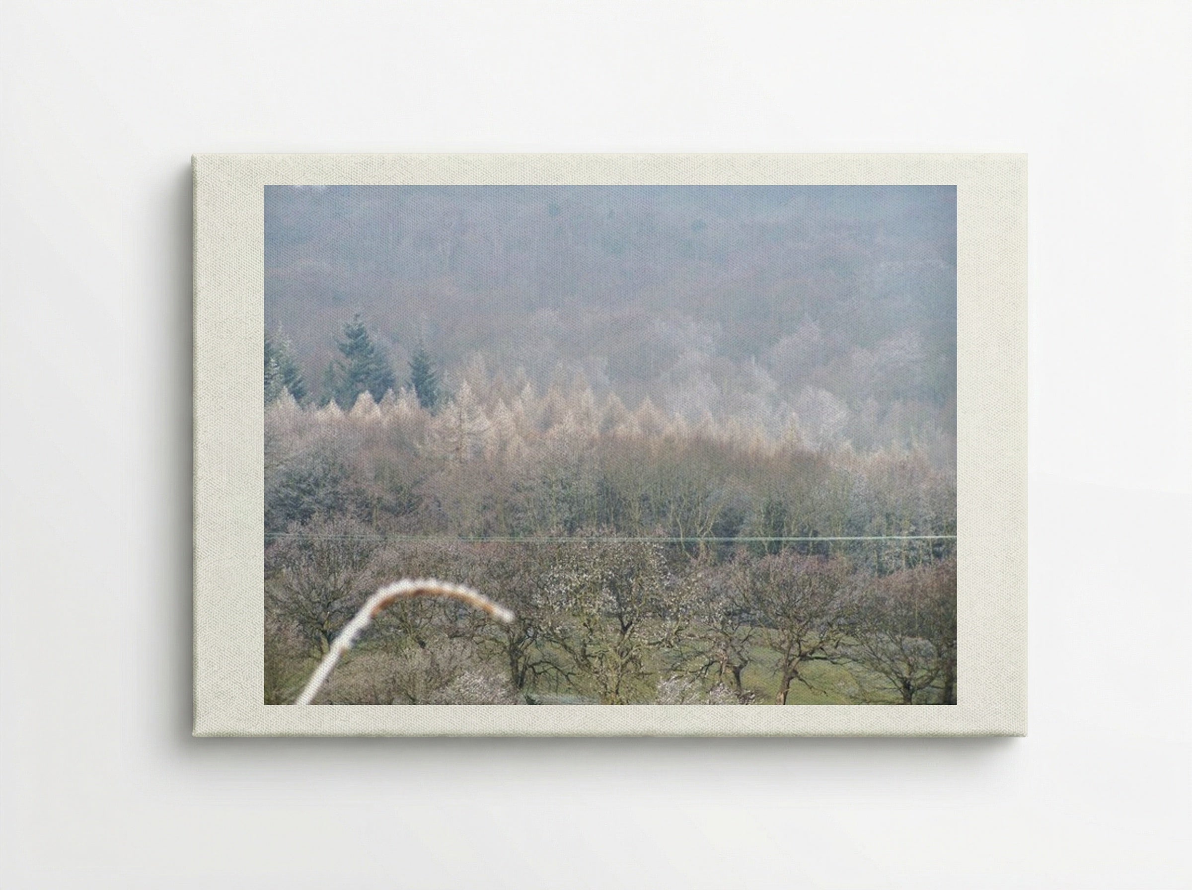 Tree, Tree - Terry Frost - Canvas