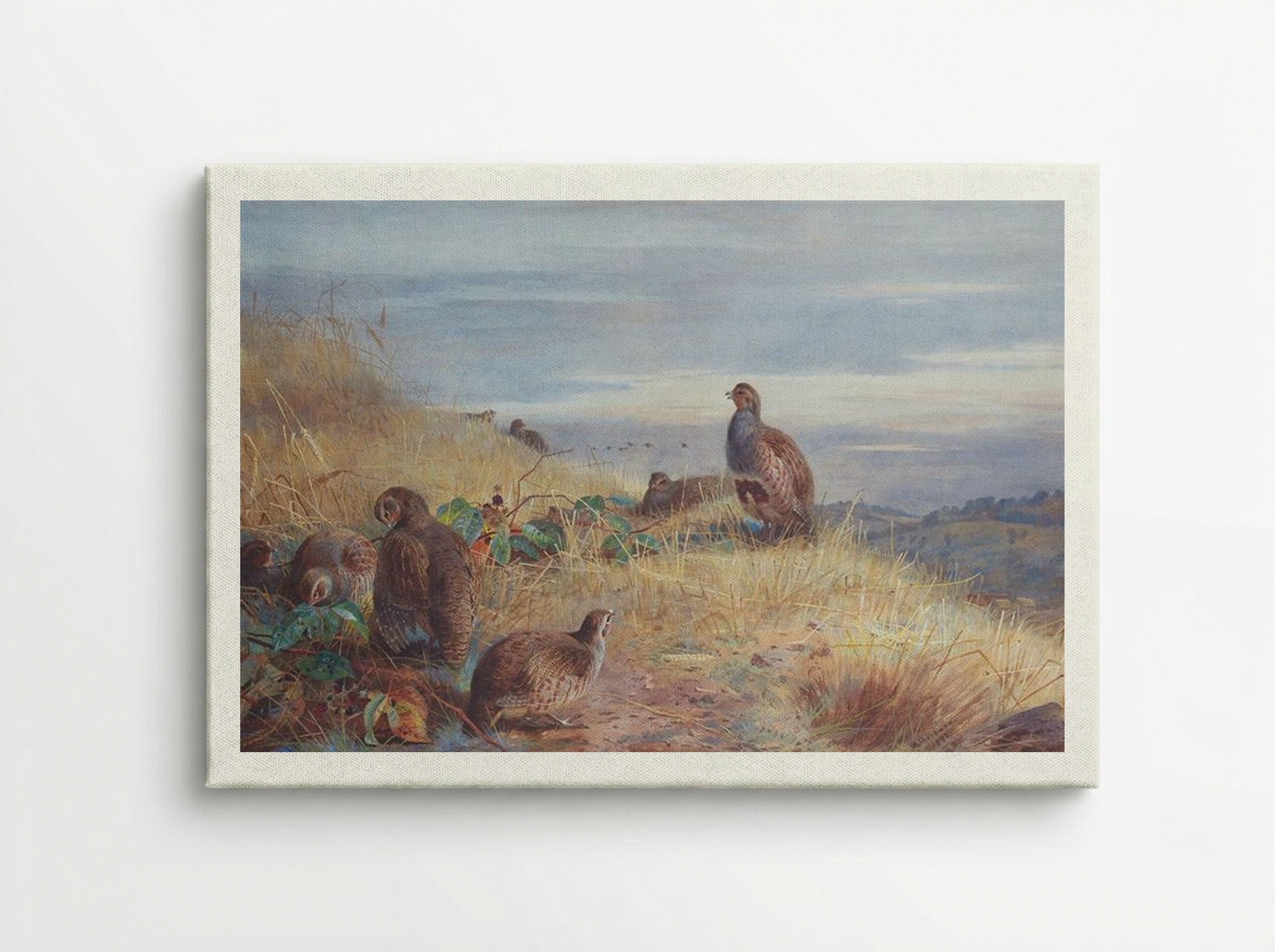 The Covey at Daybreak - Archibald Thorburn - Canvas