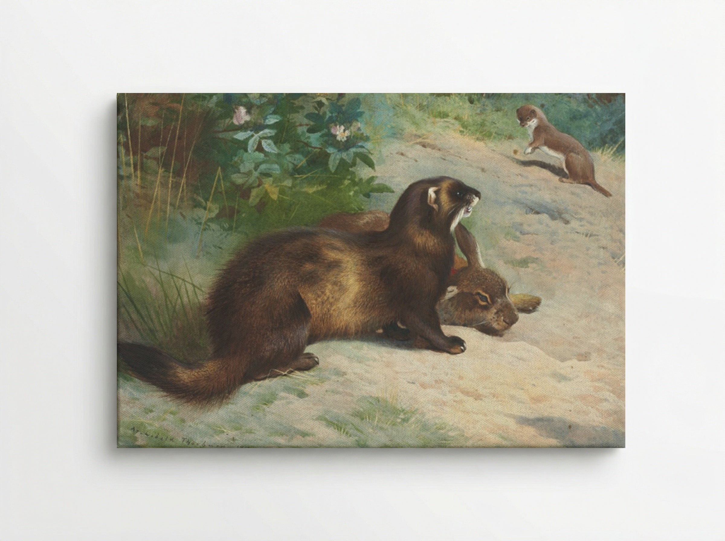 European polecat defending a rabbit carcass from a least weasel - Archibald Thorburn - Canvas