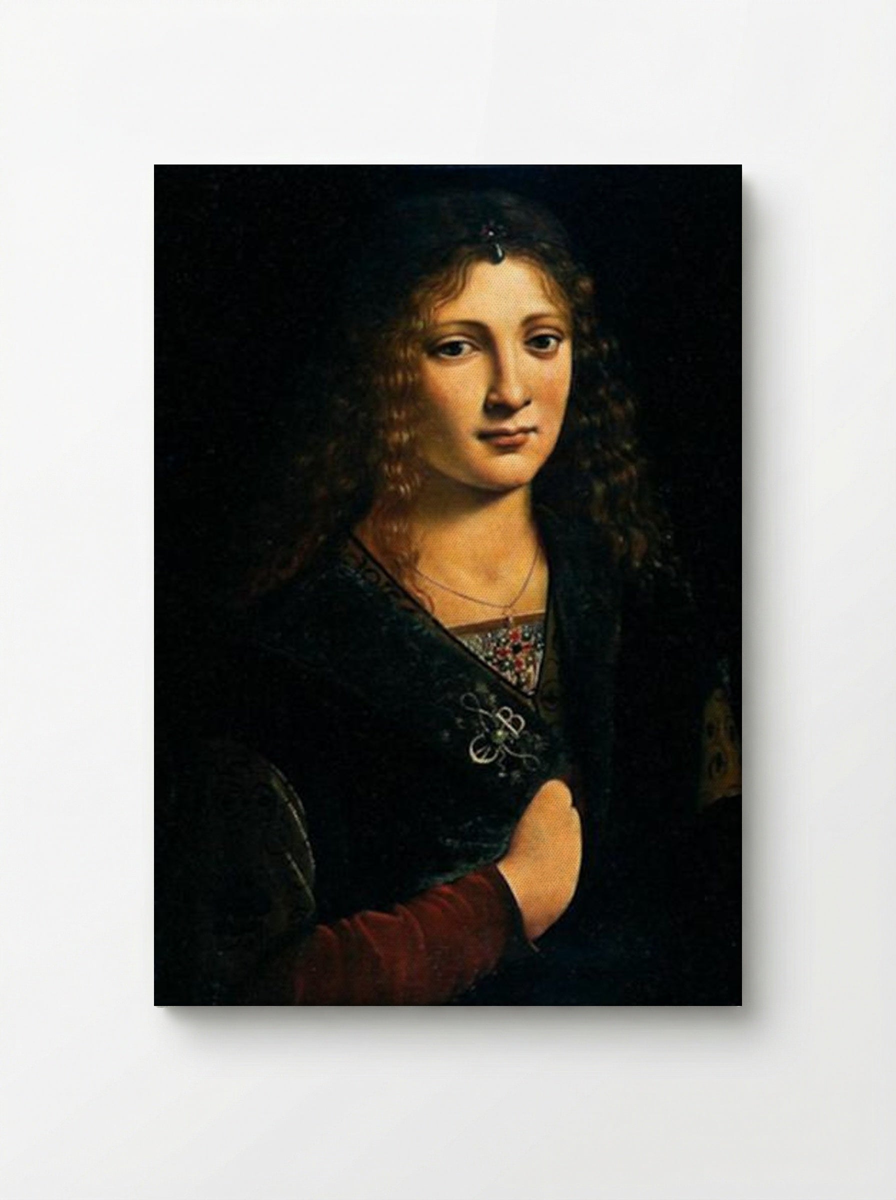 Portrait of a Youth - Giovanni Antonio Boltraffio - Canvas