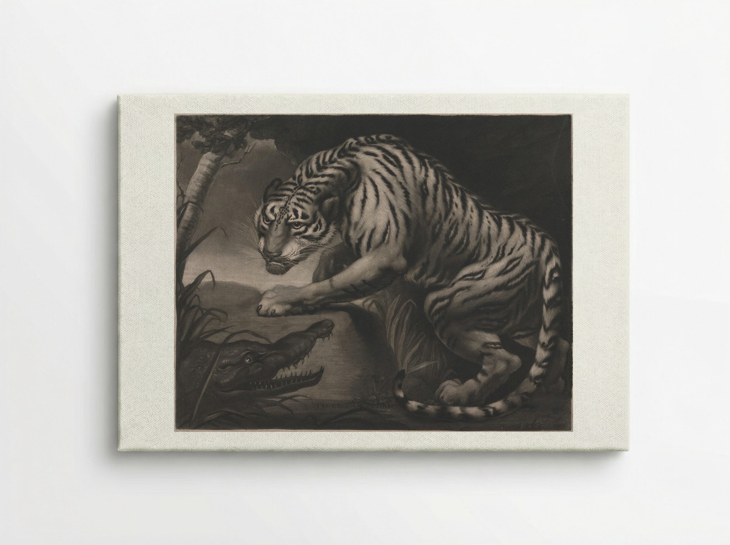 Tiger & Crocodile - Charles Turner - Canvas