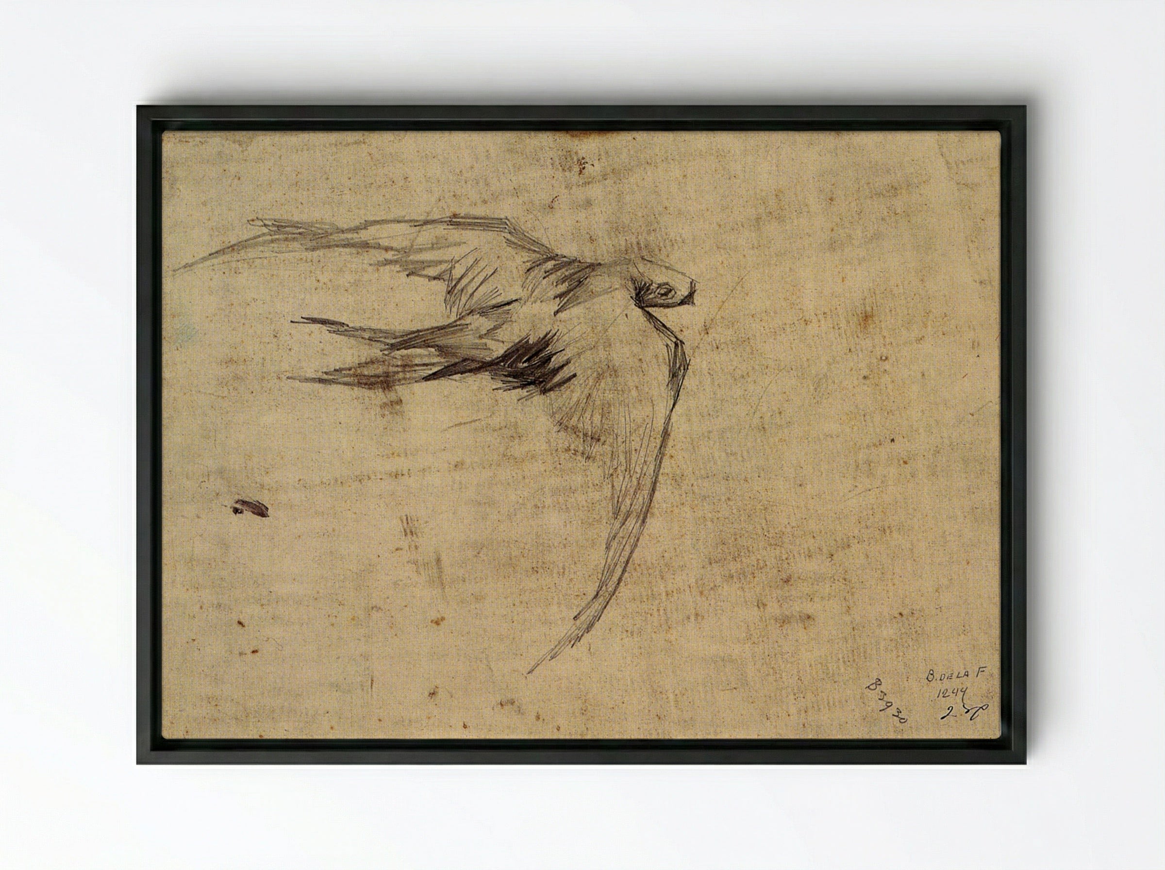 Study of a Swift in Flight - Leonardo da Vinci - Framed Canvas Black