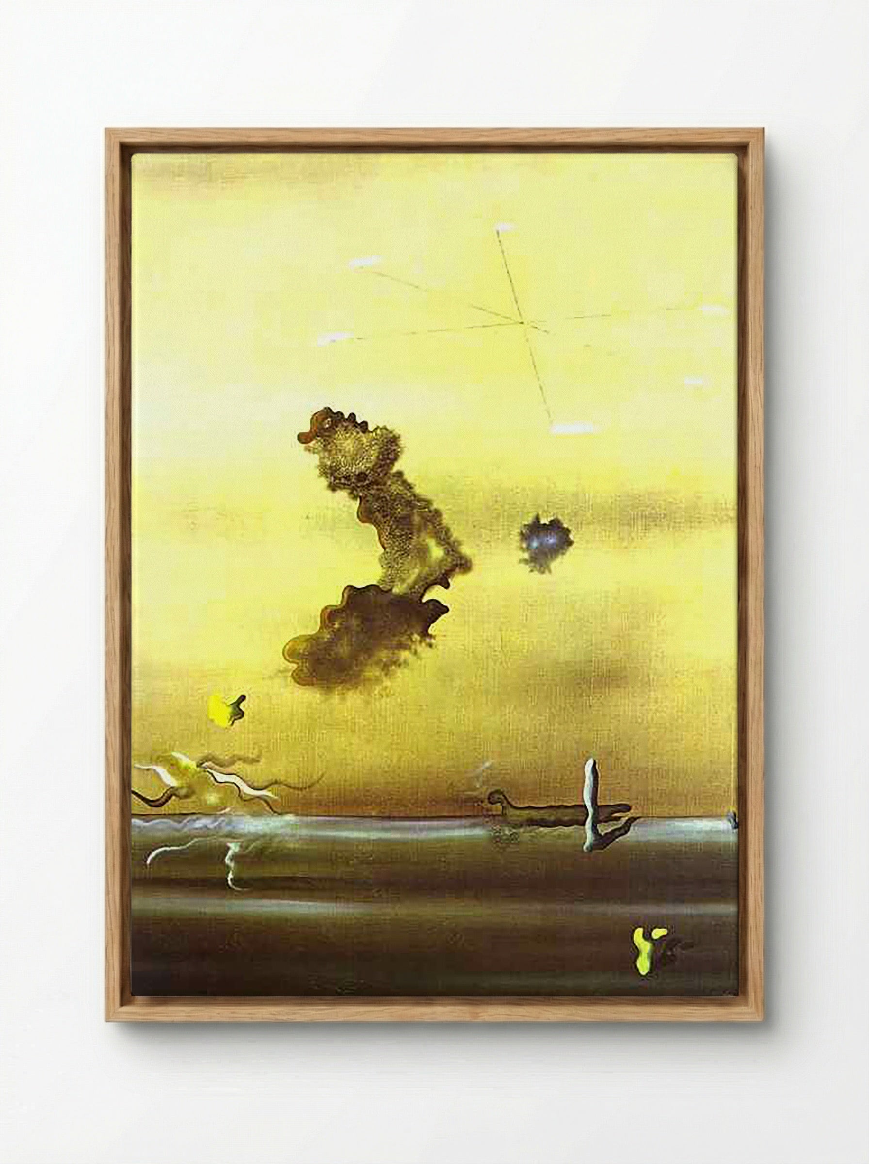 Outside - Salvador Dalí - Framed Canvas Wood