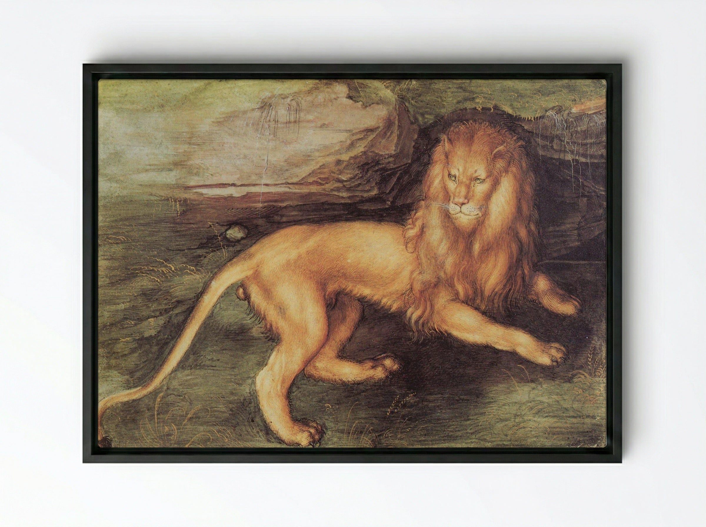 Study of a Lion - Leonardo da Vinci - Framed Canvas Black