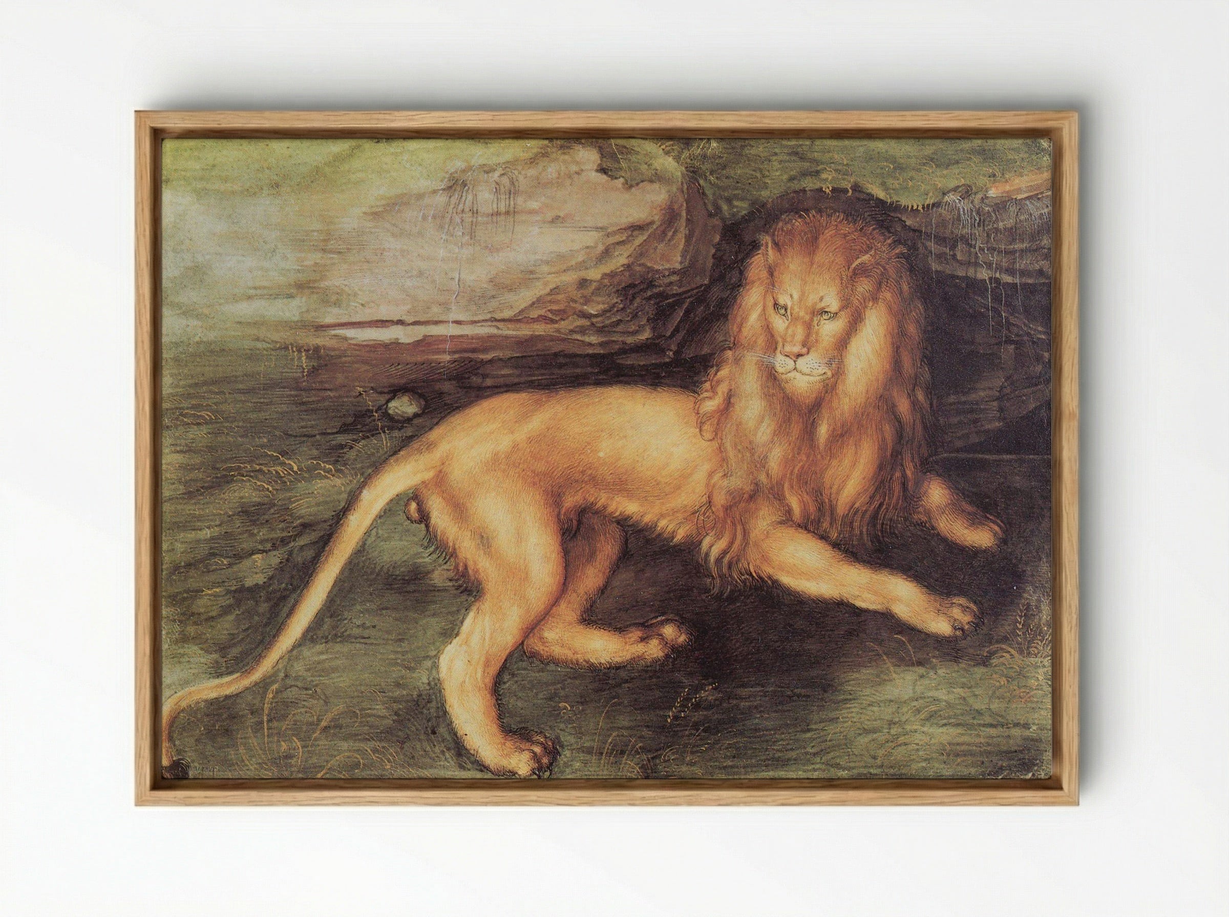Study of a Lion - Leonardo da Vinci - Framed Canvas Wood