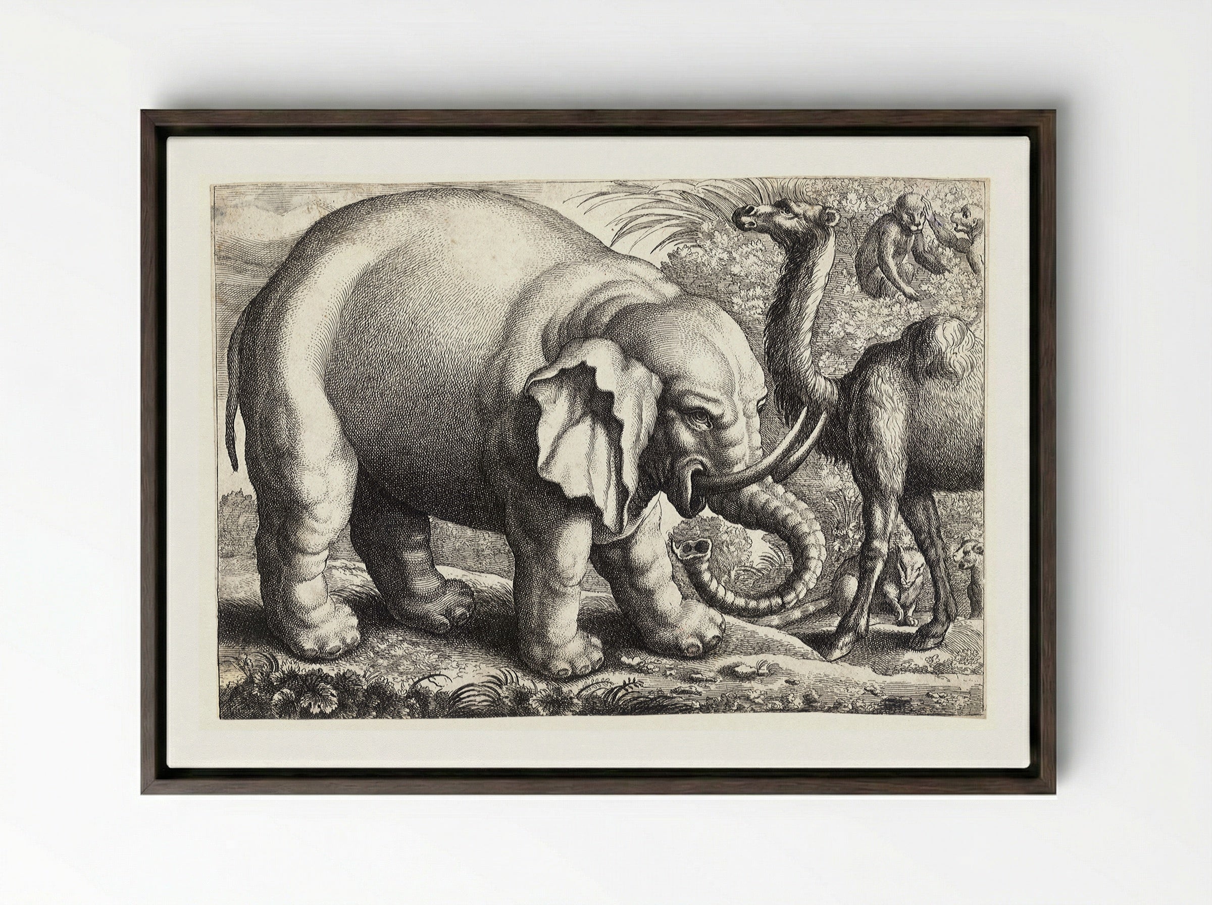 Elephant and Camel - Wenceslaus Hollar - Framed Canvas Dark Wood