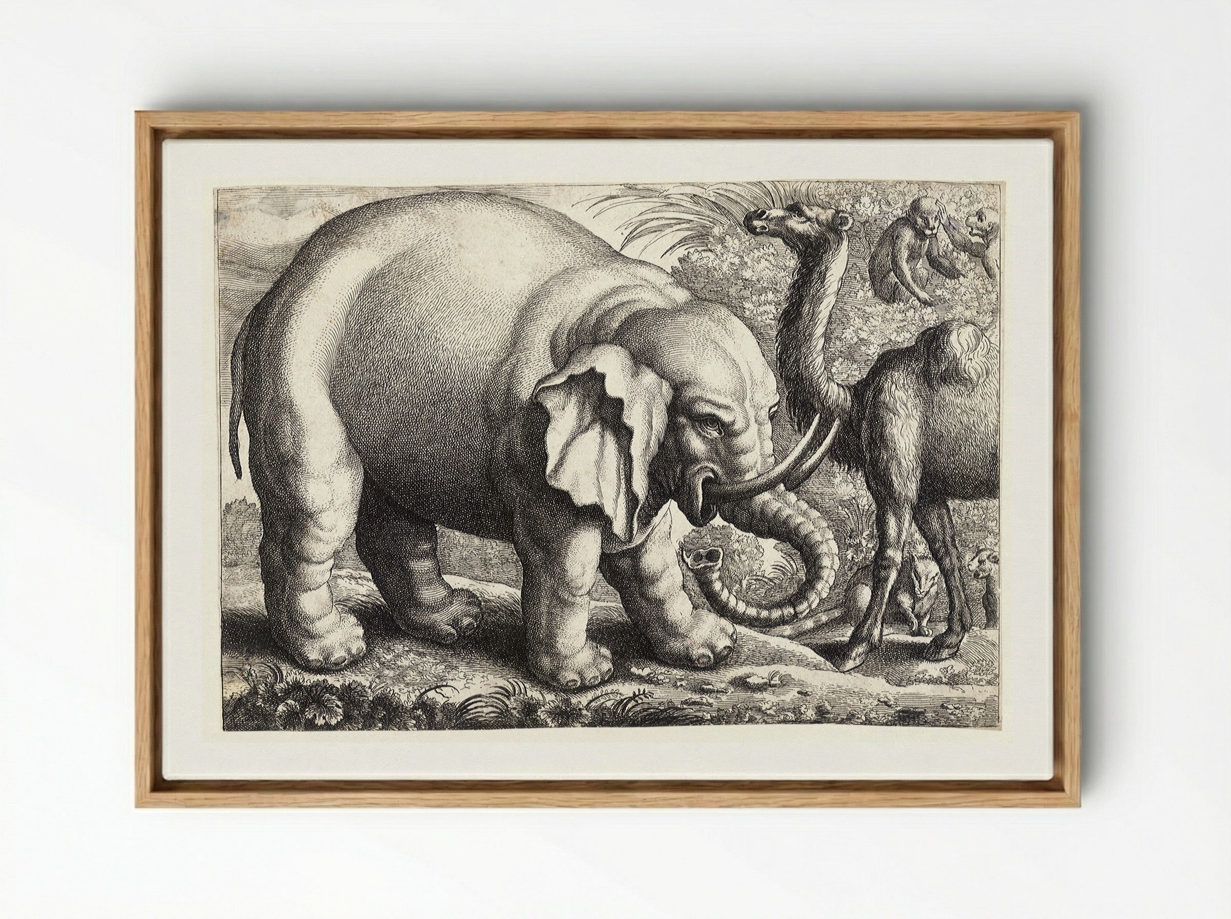 Elephant and Camel - Wenceslaus Hollar - Framed Canvas Wood