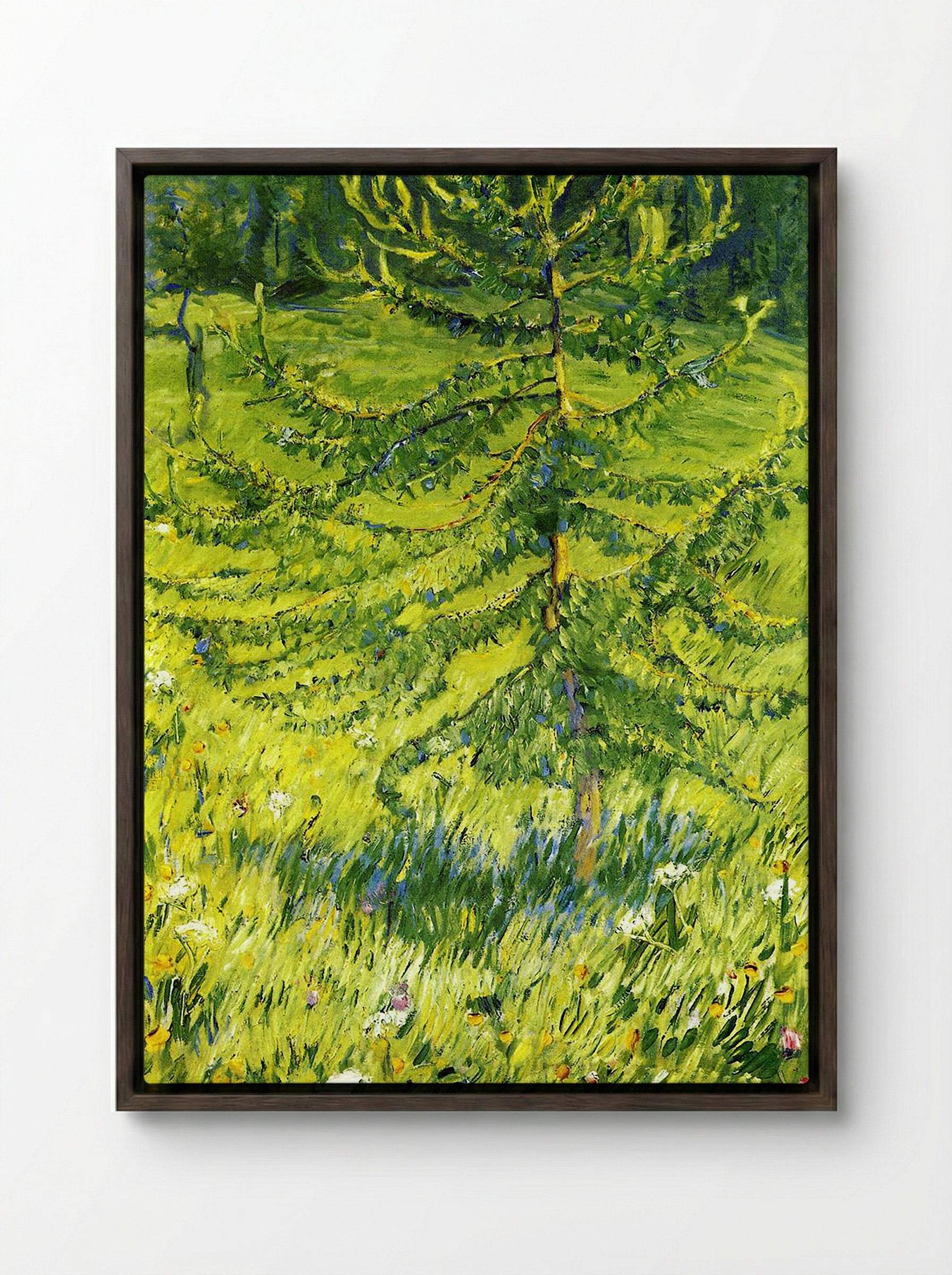 Larch Sapling - Konstantin Korovin - Framed Canvas Dark Wood