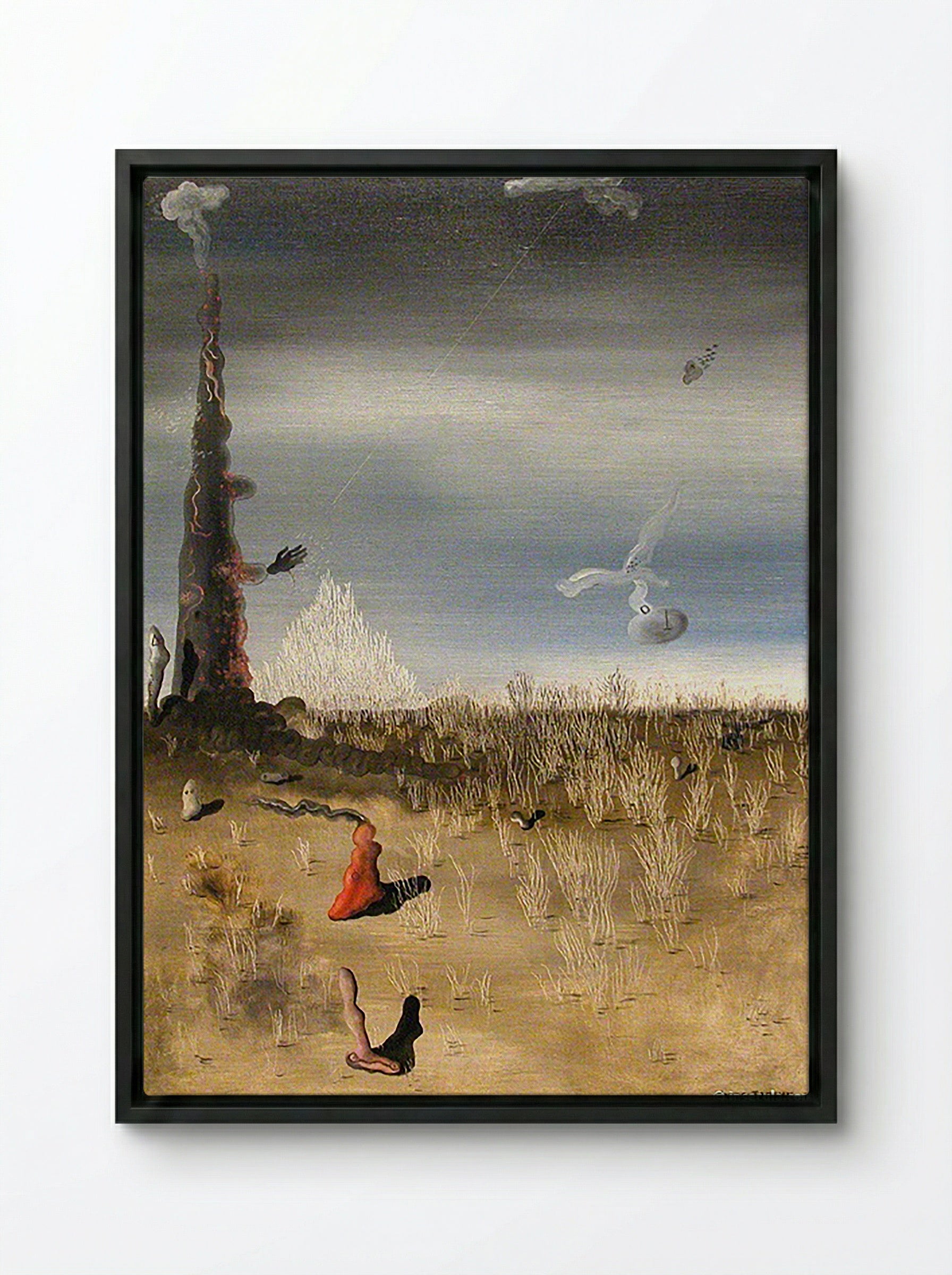 Extinction of Useless Lights - Remedios Varo - Framed Canvas Black