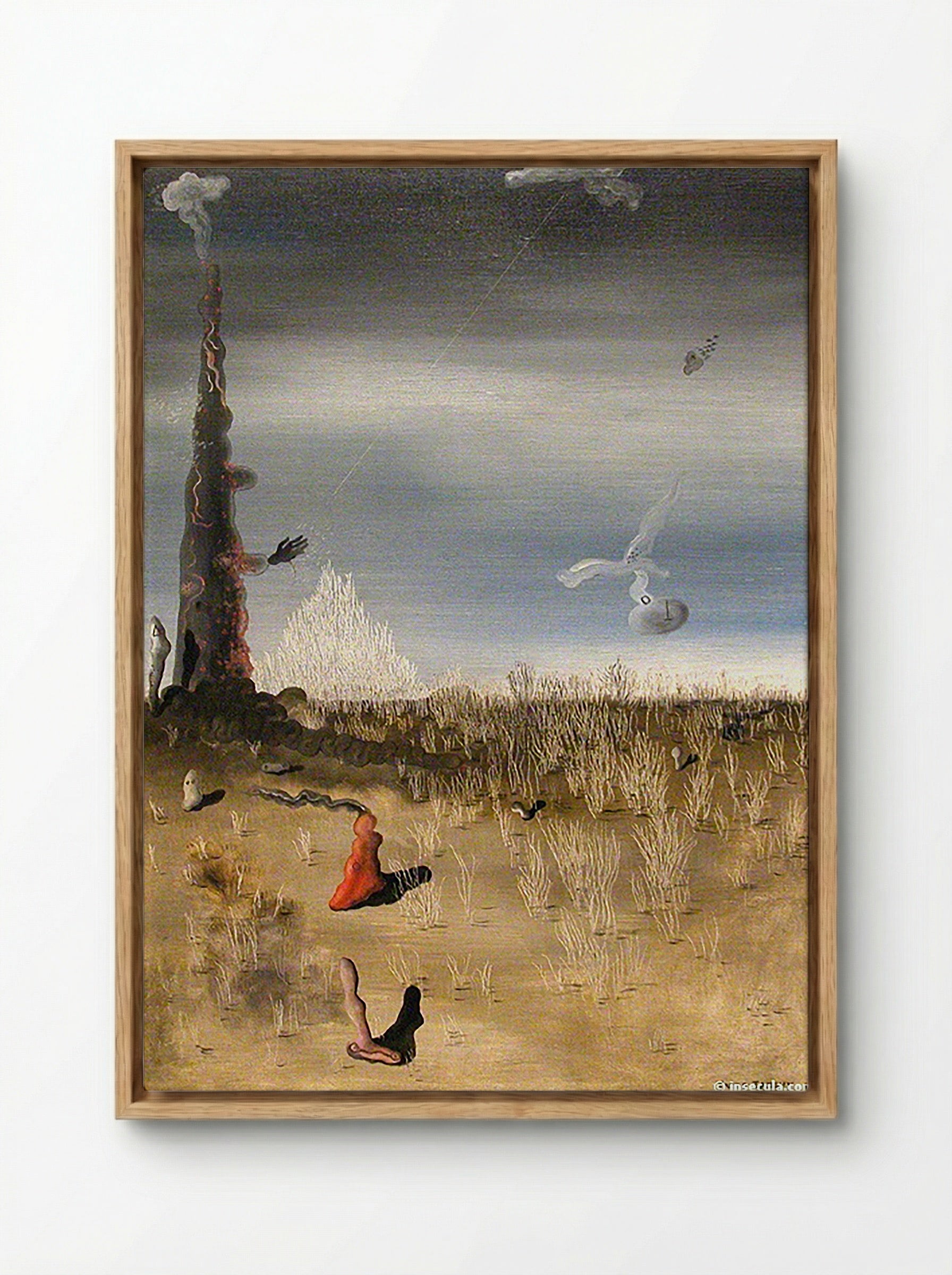 Extinction of Useless Lights - Remedios Varo - Framed Canvas Wood
