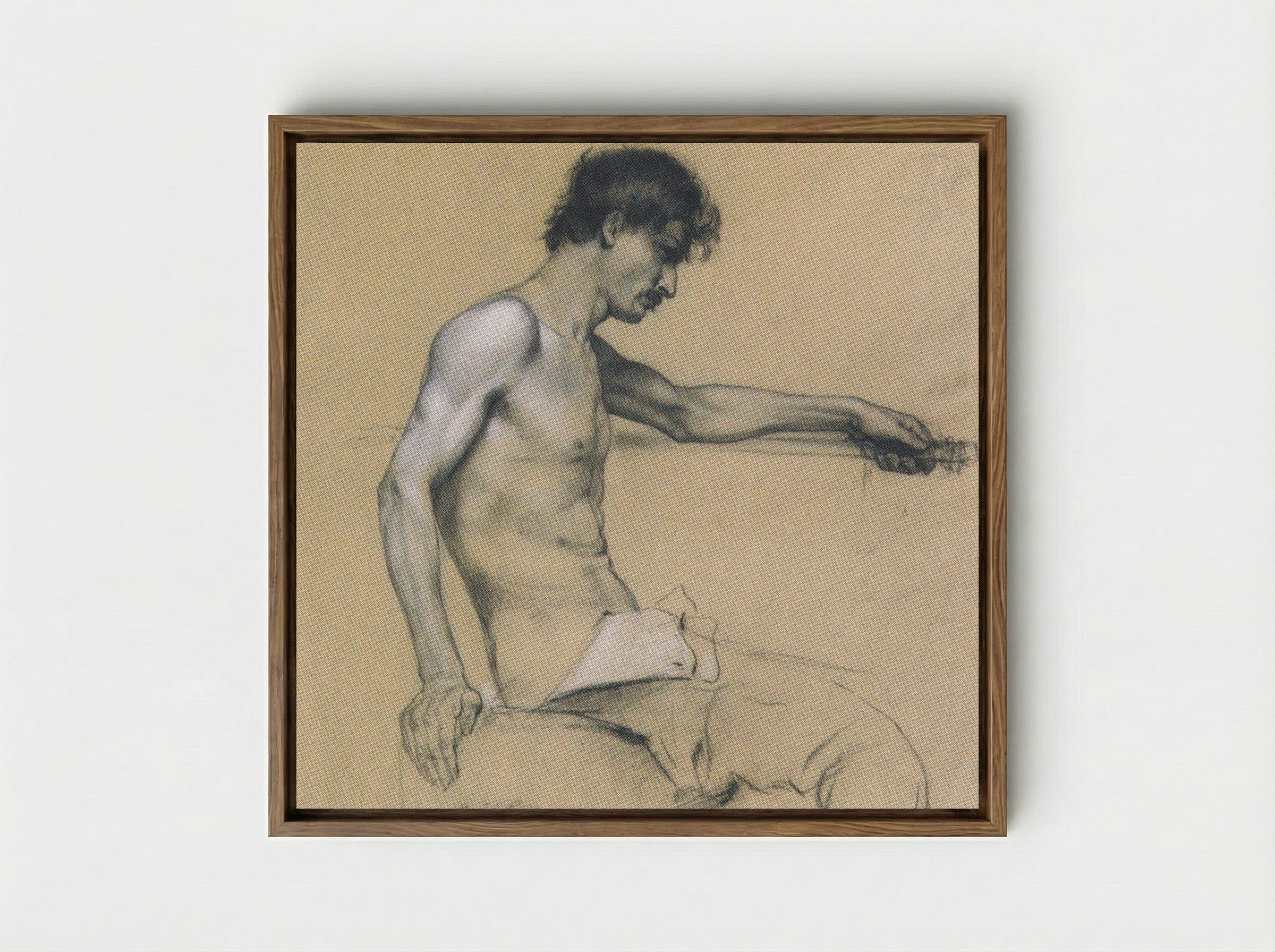Male Nude Study - Koloman Moser - Framed Canvas Wood