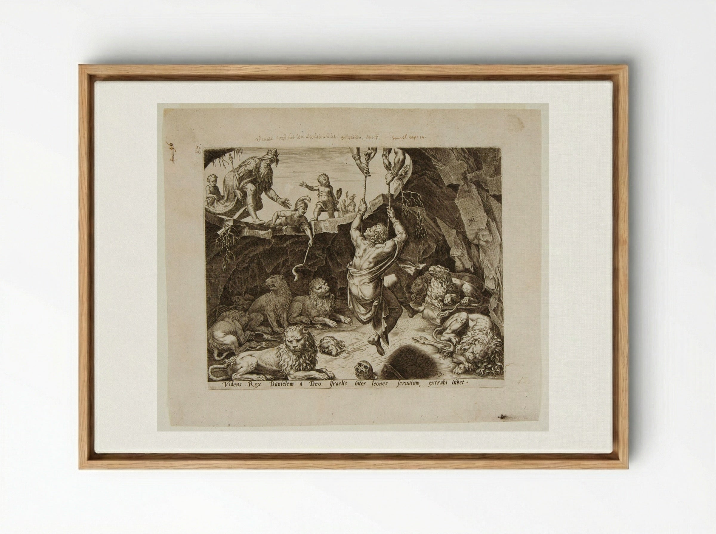 King Cyrus Rescues Daniel from the Lion's Den - Philips Galle - Framed Canvas Wood