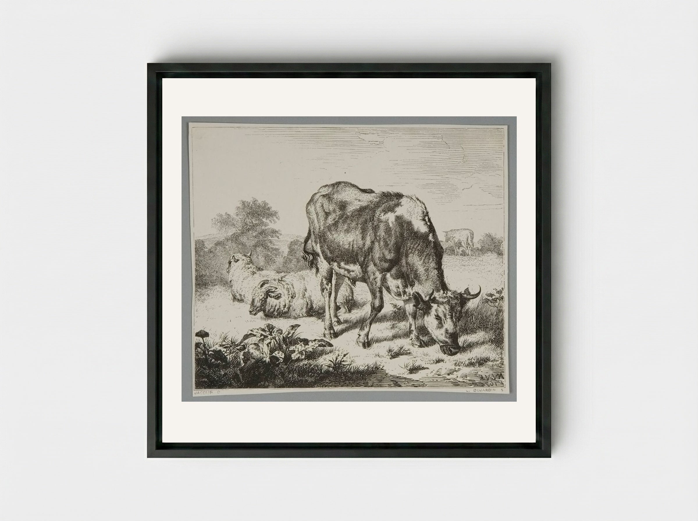 Ox and Three Sheep - Louis Dujardin - Framed Canvas Black
