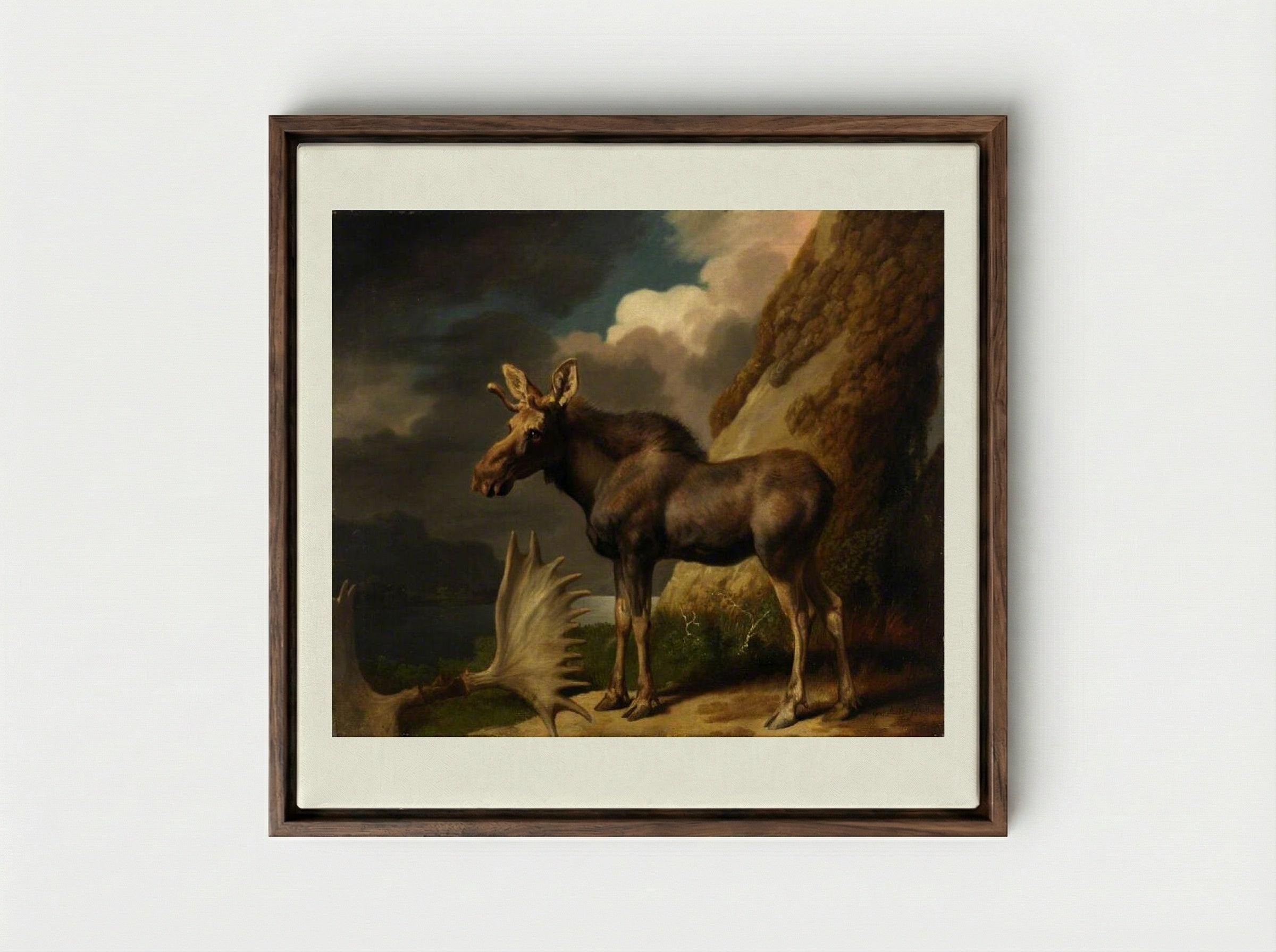 The Moose - George Stubbs - Framed Canvas Dark Wood