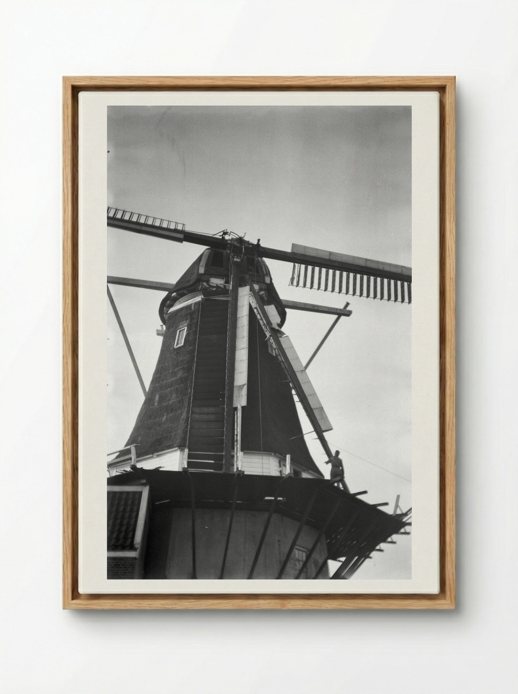 Stellingmolen (Windmill Study) - Willem Westbroek - Framed Canvas Wood