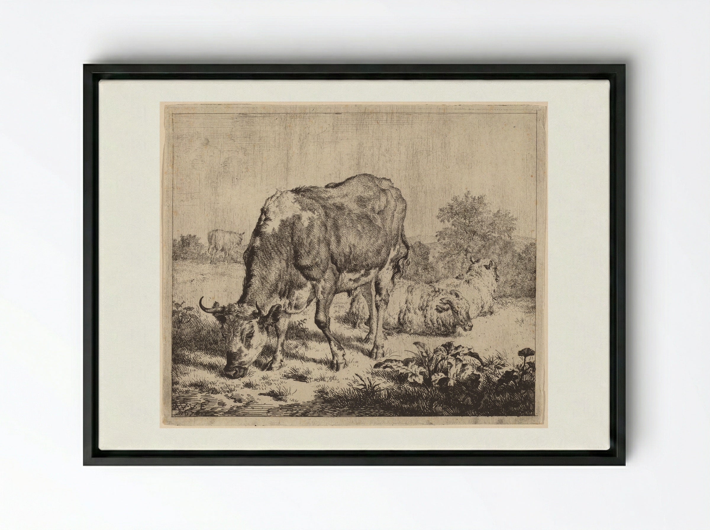 Spotted Bull and Three Sheep - Adriaen van de Velde - Framed Canvas Black