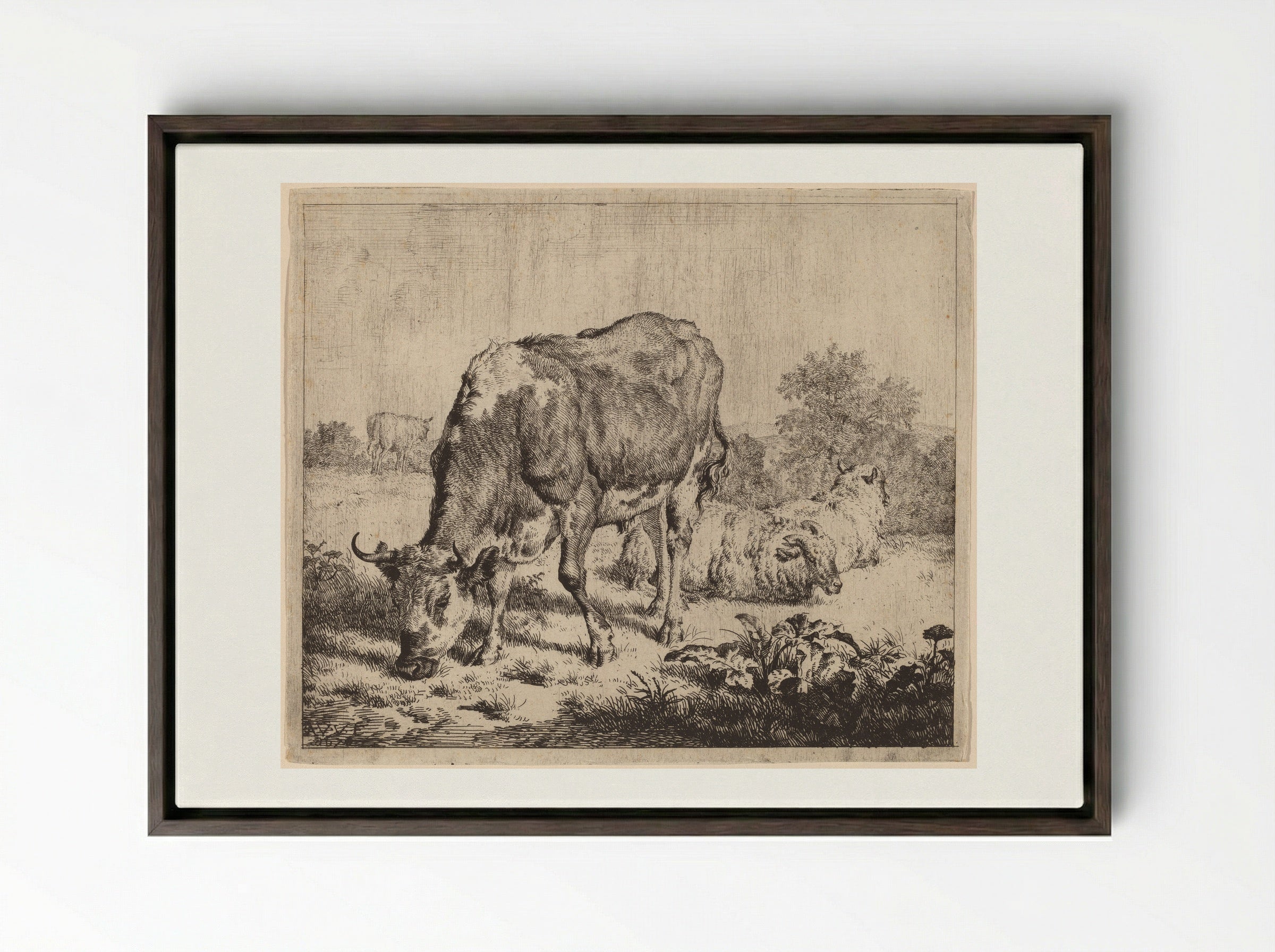 Spotted Bull and Three Sheep - Adriaen van de Velde - Framed Canvas Dark Wood