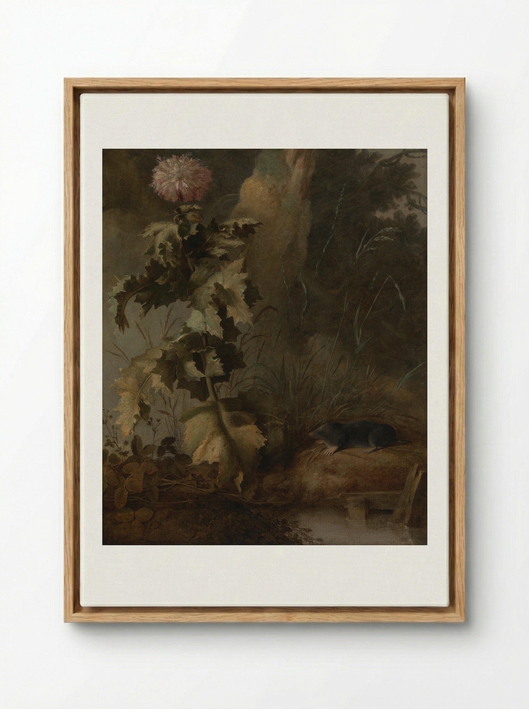 An Egyptian Poppy and a Water Mole - John Crome - Framed Canvas Wood