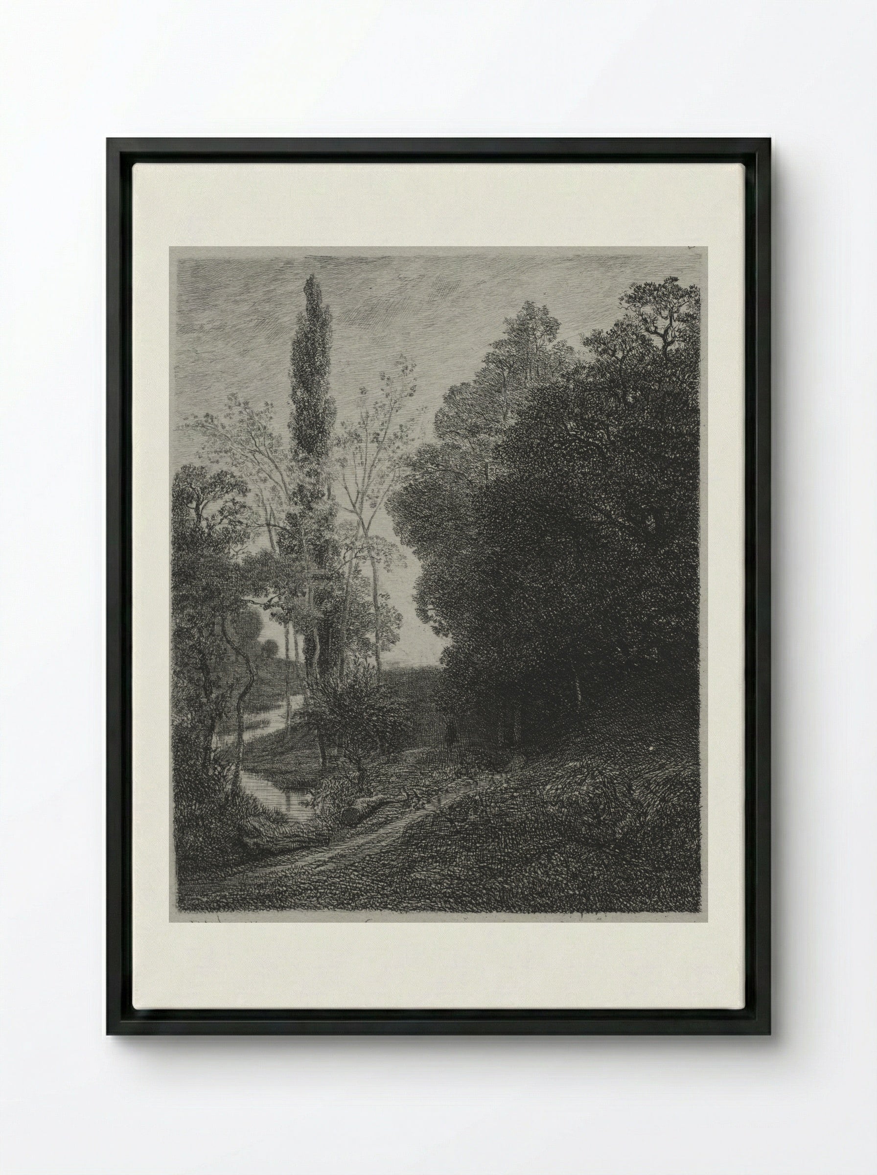 The Banks of the River - Charles-Francois Daubigny - Framed Canvas Black