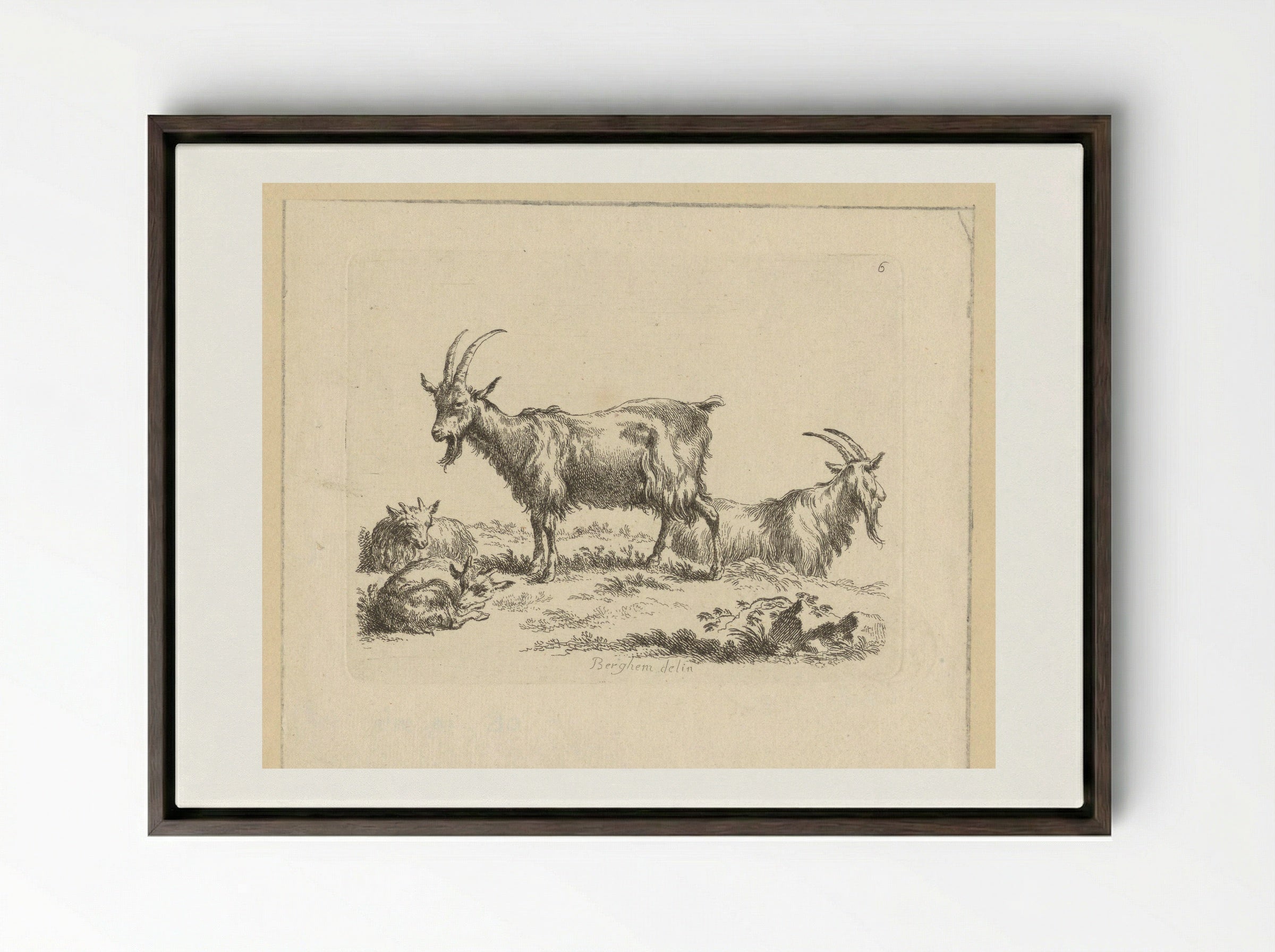 Twee geiten en twee lammeren - François Vivares - Framed Canvas Dark Wood
