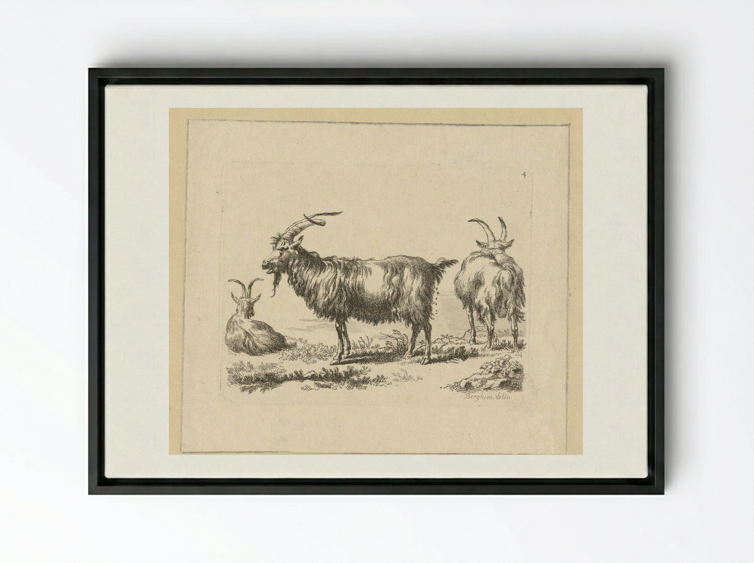 Drie geiten - François Vivares - Framed Canvas Black