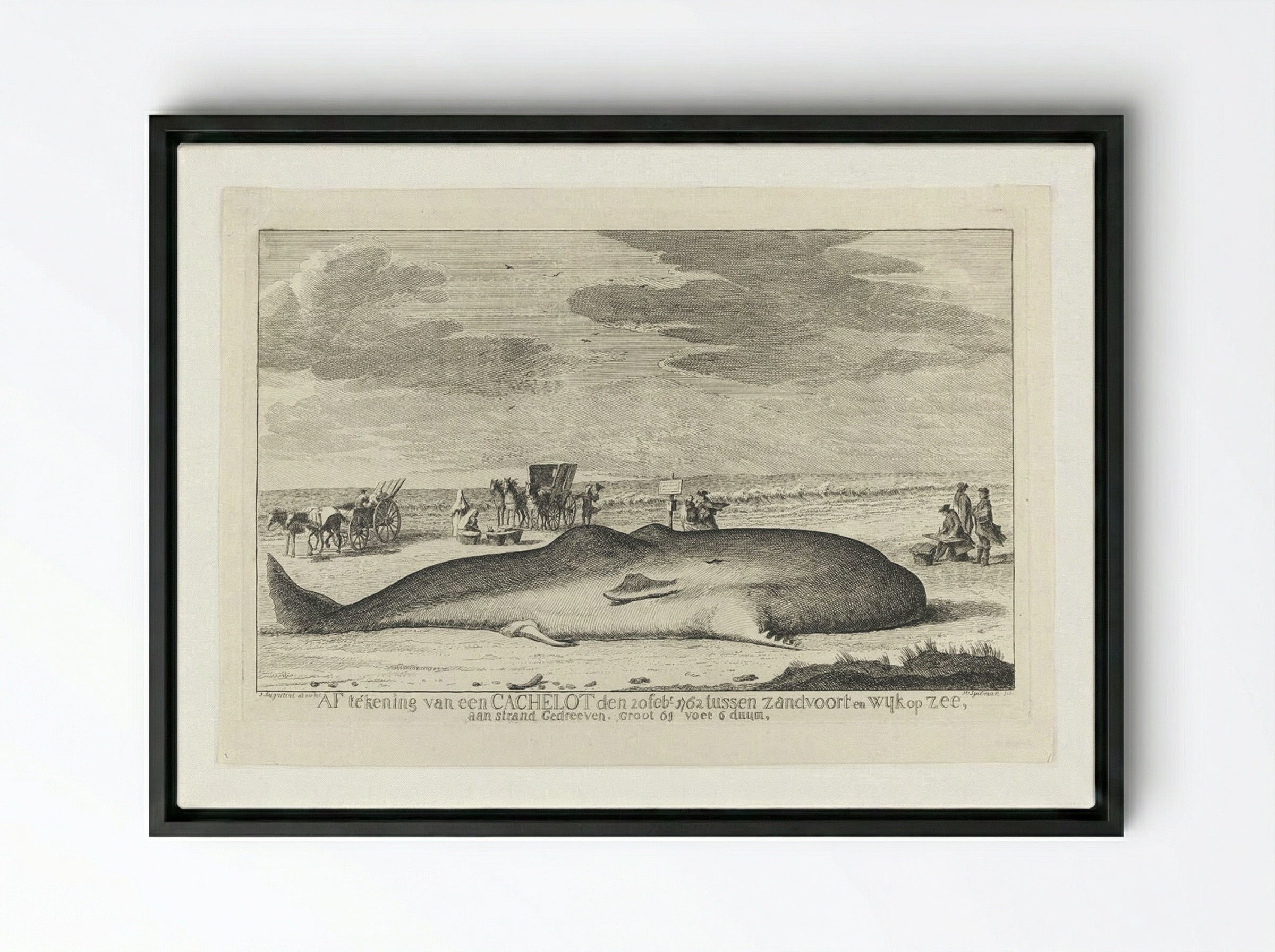 The Whale Stranded between Zandvoort and Wijk Op Zee - Hendrik Spilman - Framed Canvas Black