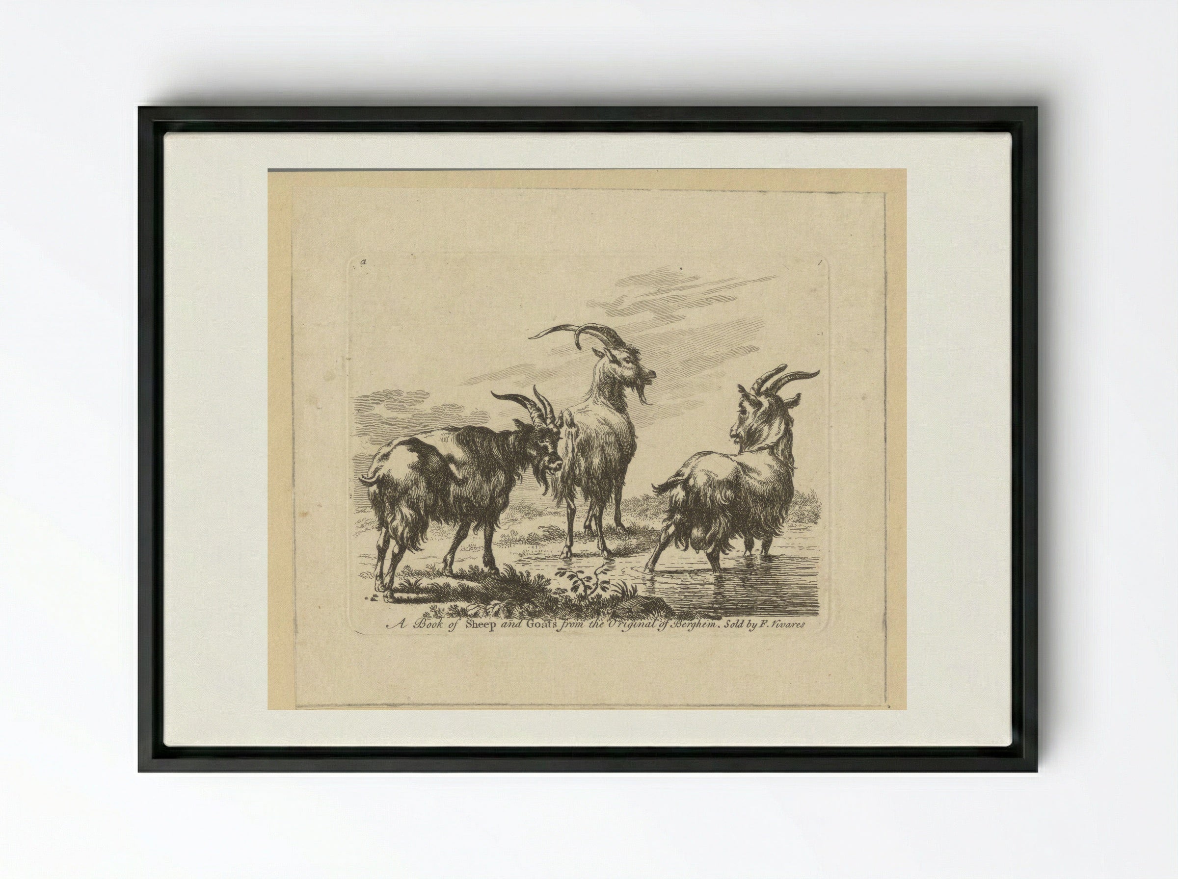 Three Goats by a Stream - François Vivares - Framed Canvas Black