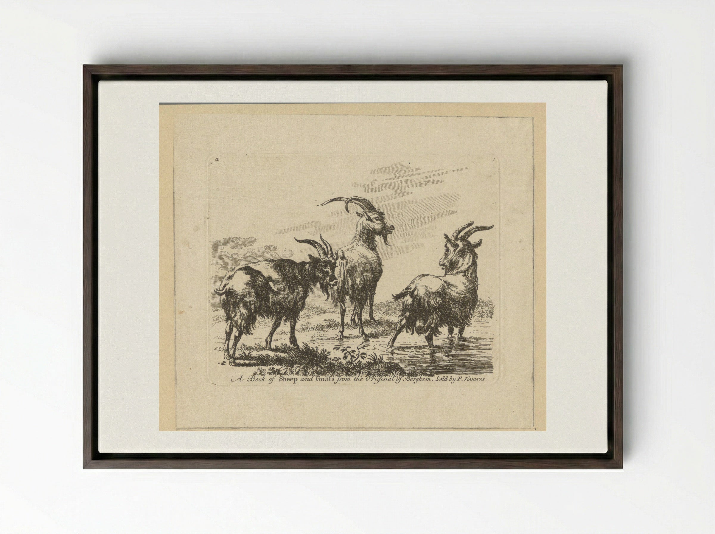 Three Goats by a Stream - François Vivares - Framed Canvas Dark Wood