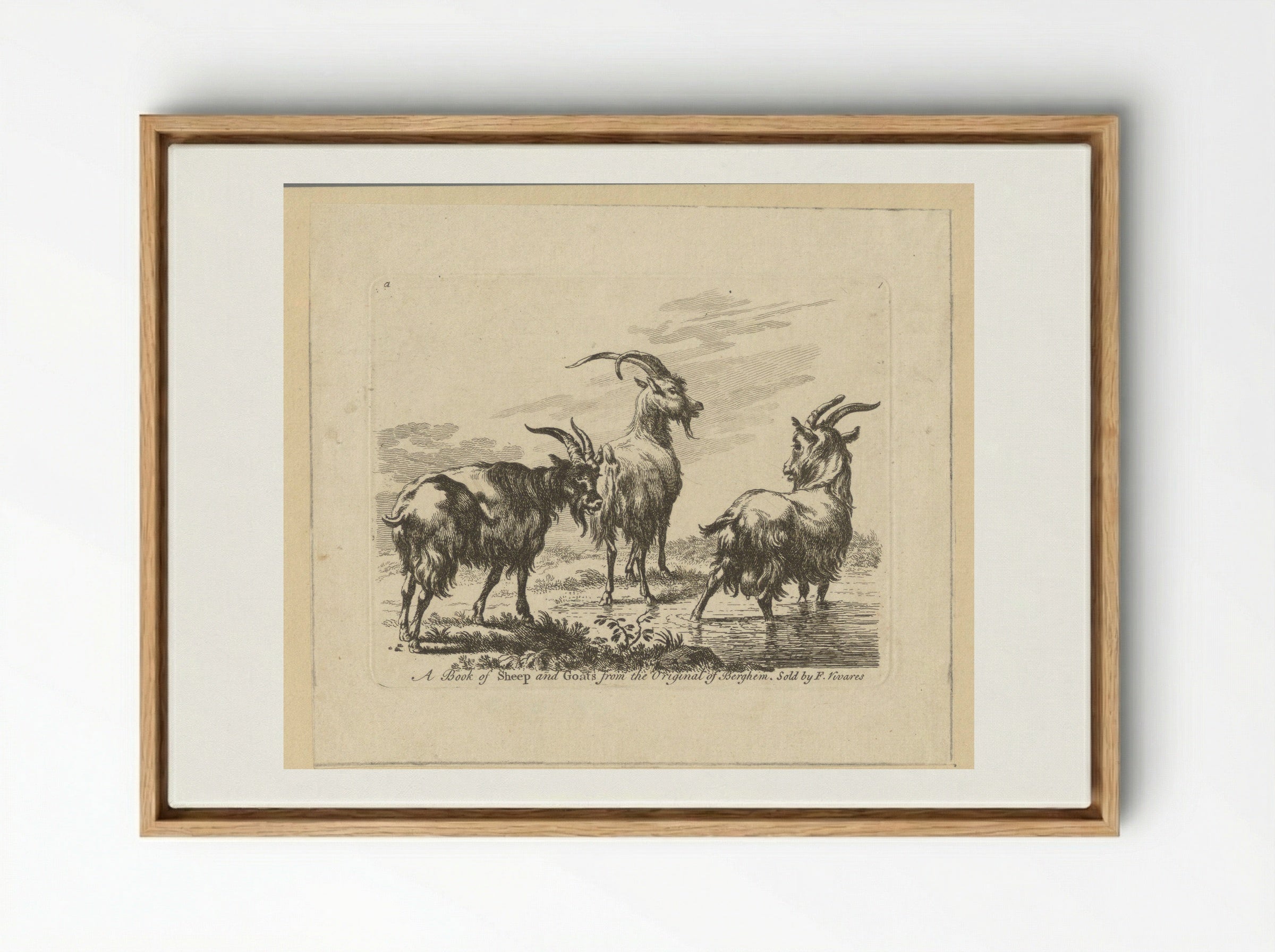 Three Goats by a Stream - François Vivares - Framed Canvas Wood