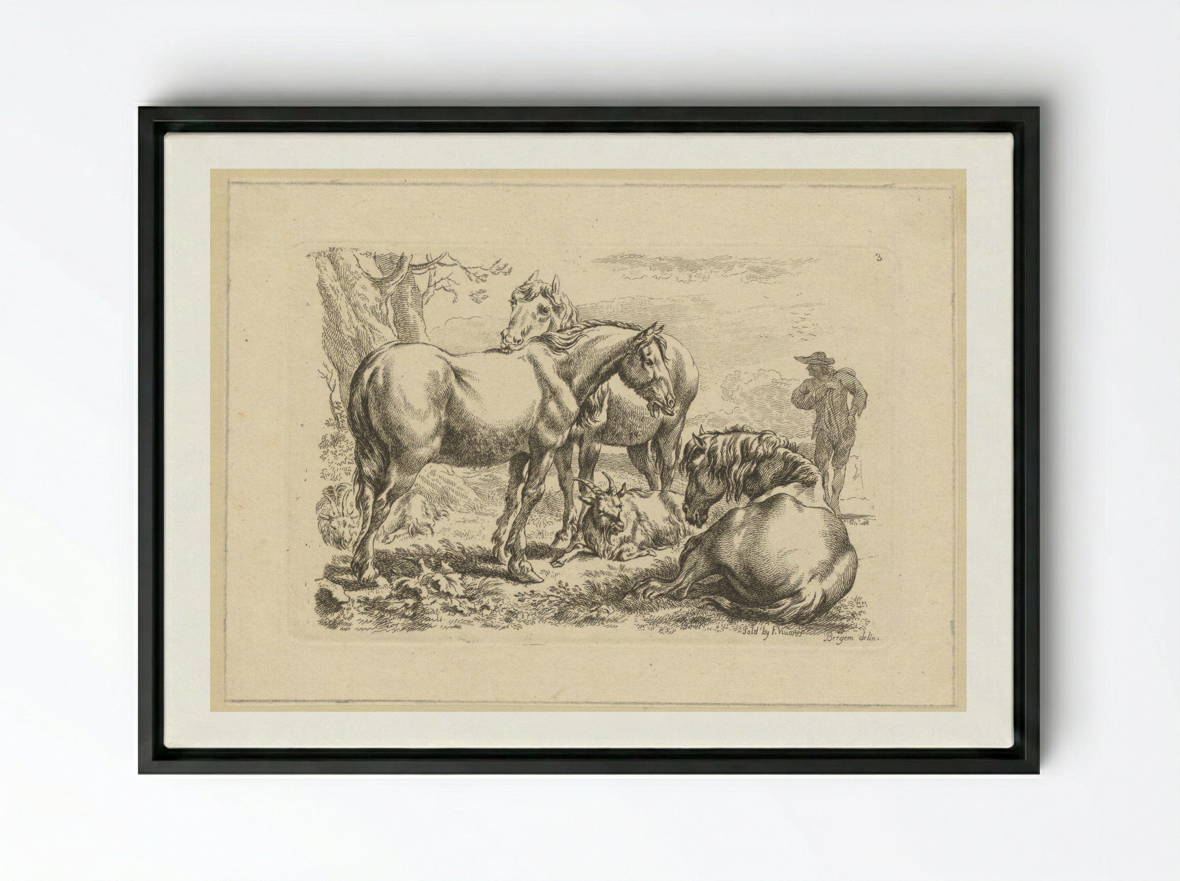 Drie paarden een geit - François Vivares - Framed Canvas Black