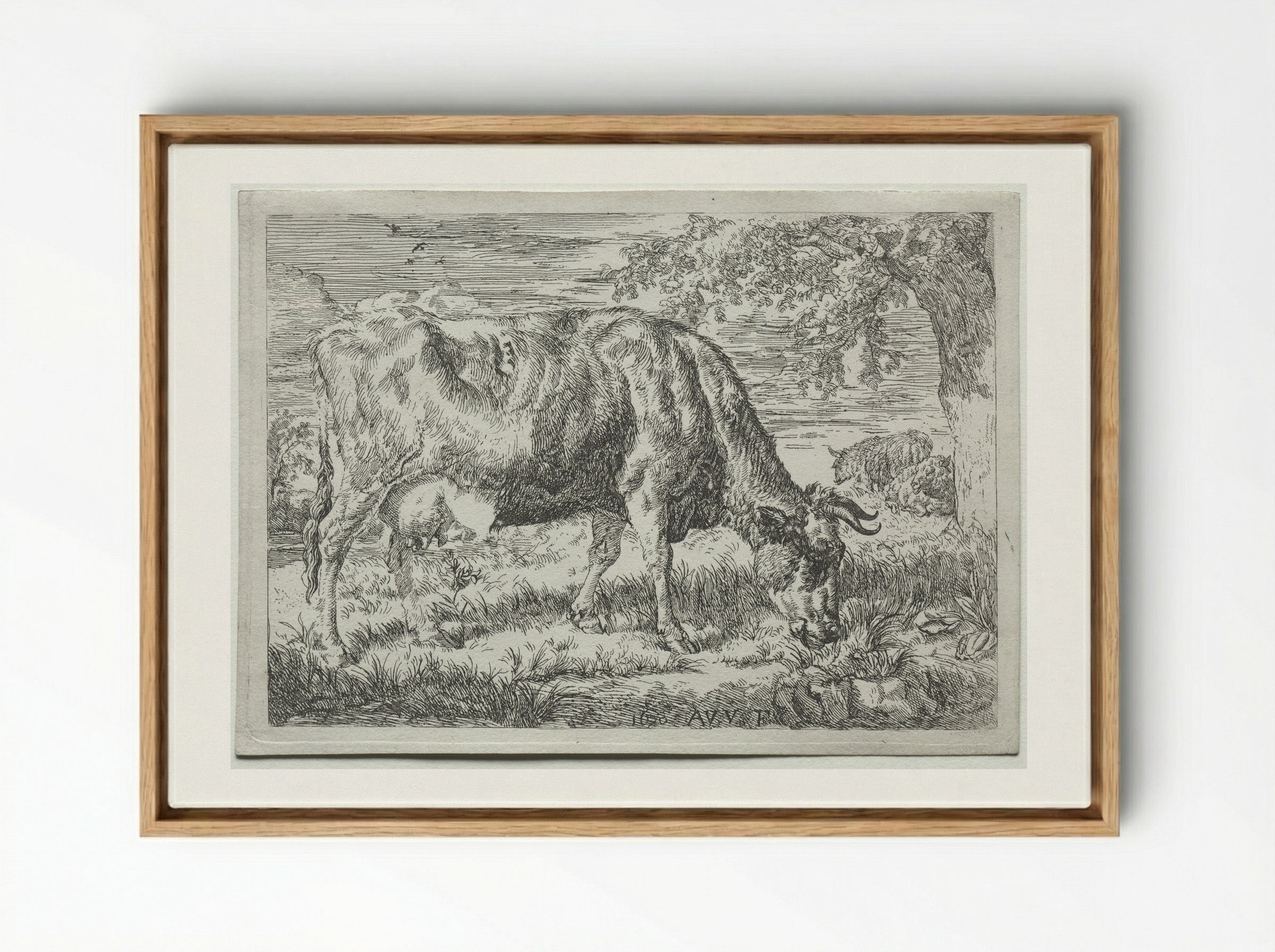 Two Cows Under a Tree - Adriaen van de Velde - Framed Canvas Wood