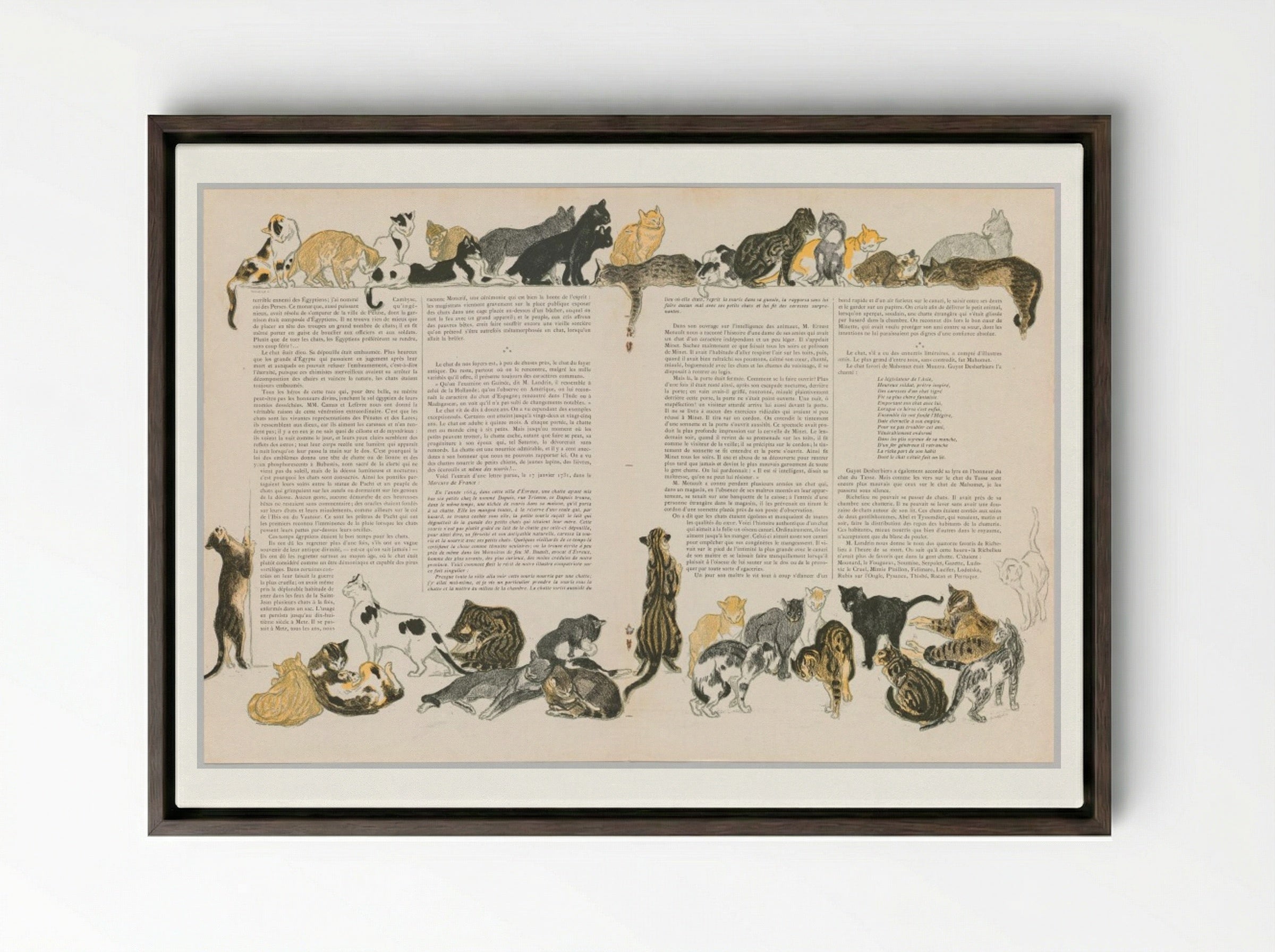 On Cats (Des Chats) - Théophile Alexandre Steinlen - Framed Canvas Dark Wood