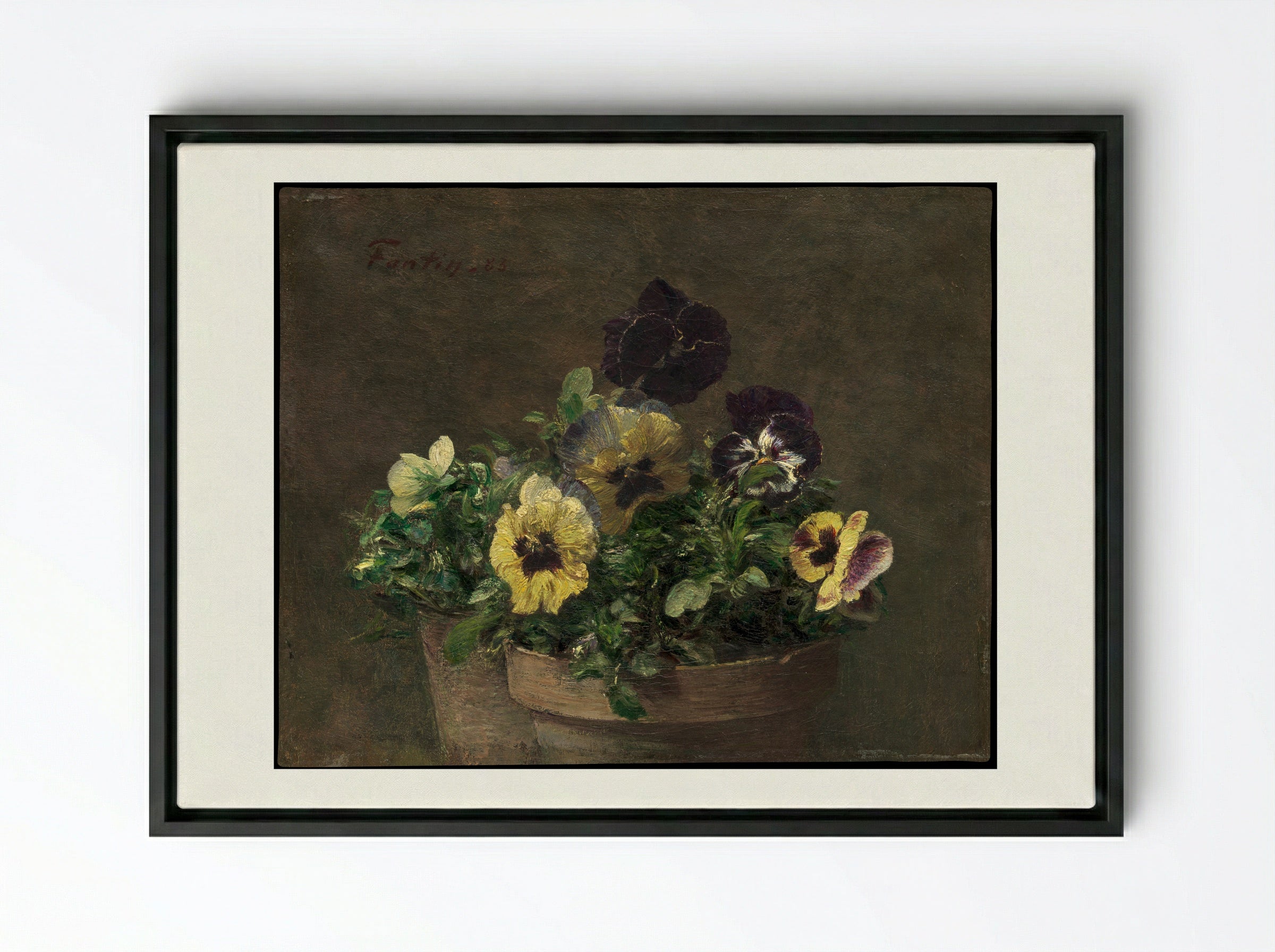 Potted Pansies - Henri Fantin-Latour - Framed Canvas Black