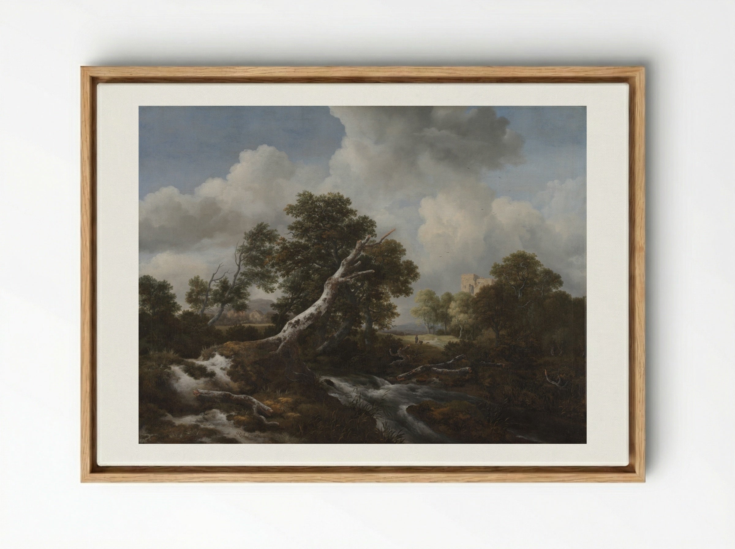 Low Waterfall in a Wooded Landscape with a Dead Beech Tree - Jacob van Ruisdael - Framed Canvas Wood