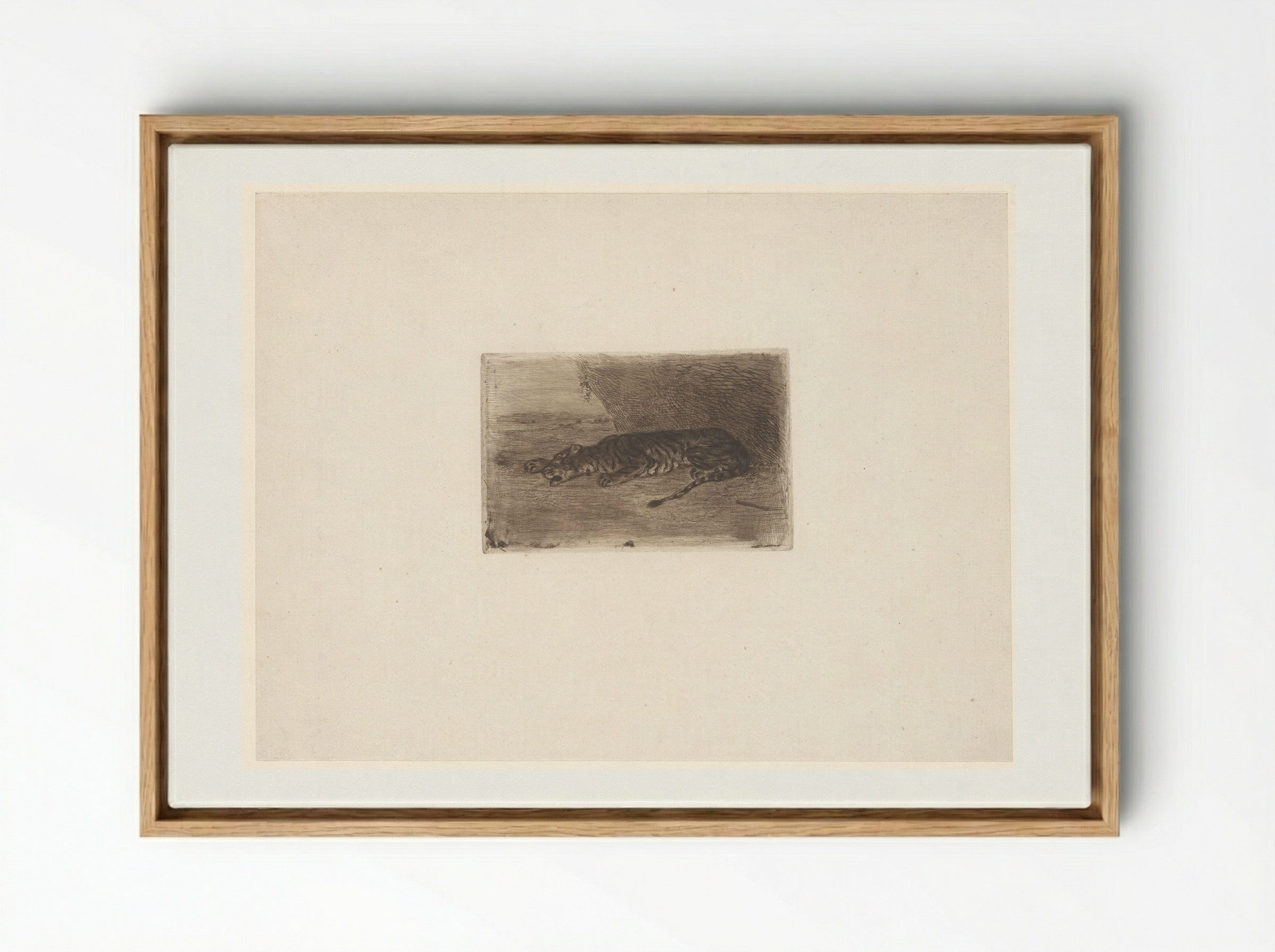 Sleeping Tiger - Eugène Delacroix - Framed Canvas Wood