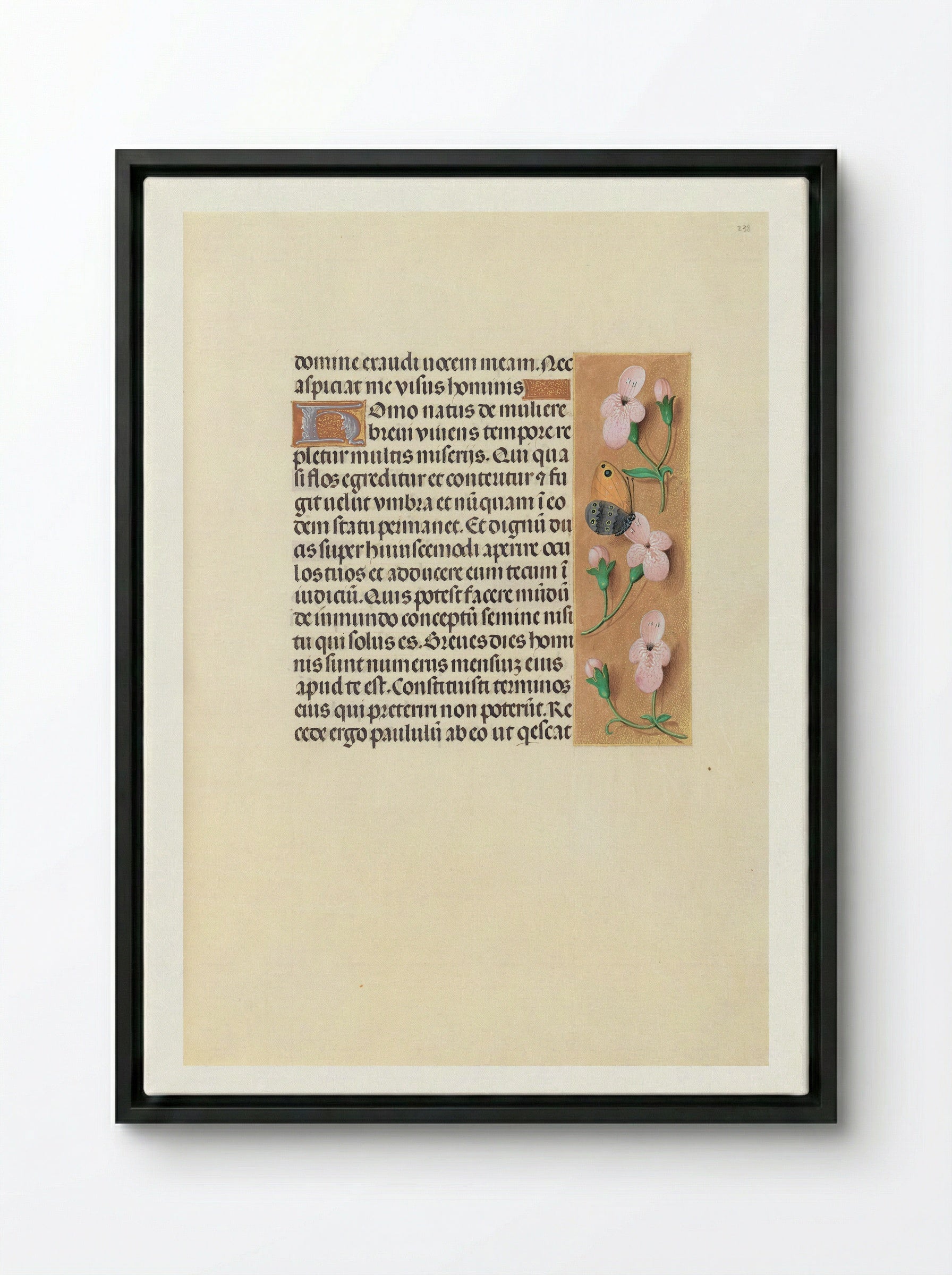 Hours of Queen Isabella the Catholic: Folio 238r - Master of the First Prayerbook of Maximilian - Framed Canvas Black