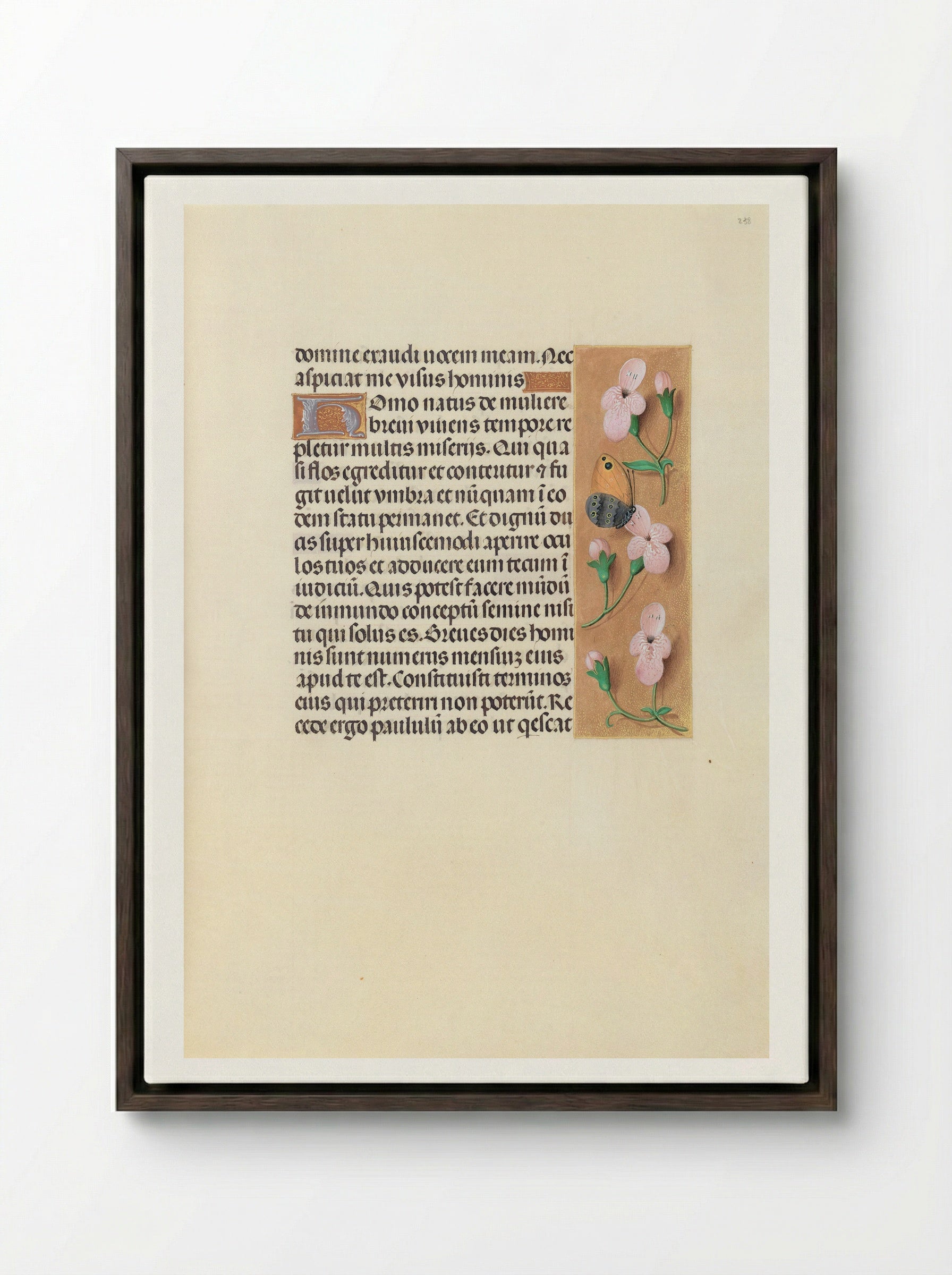 Hours of Queen Isabella the Catholic: Folio 238r - Master of the First Prayerbook of Maximilian - Framed Canvas Dark Wood