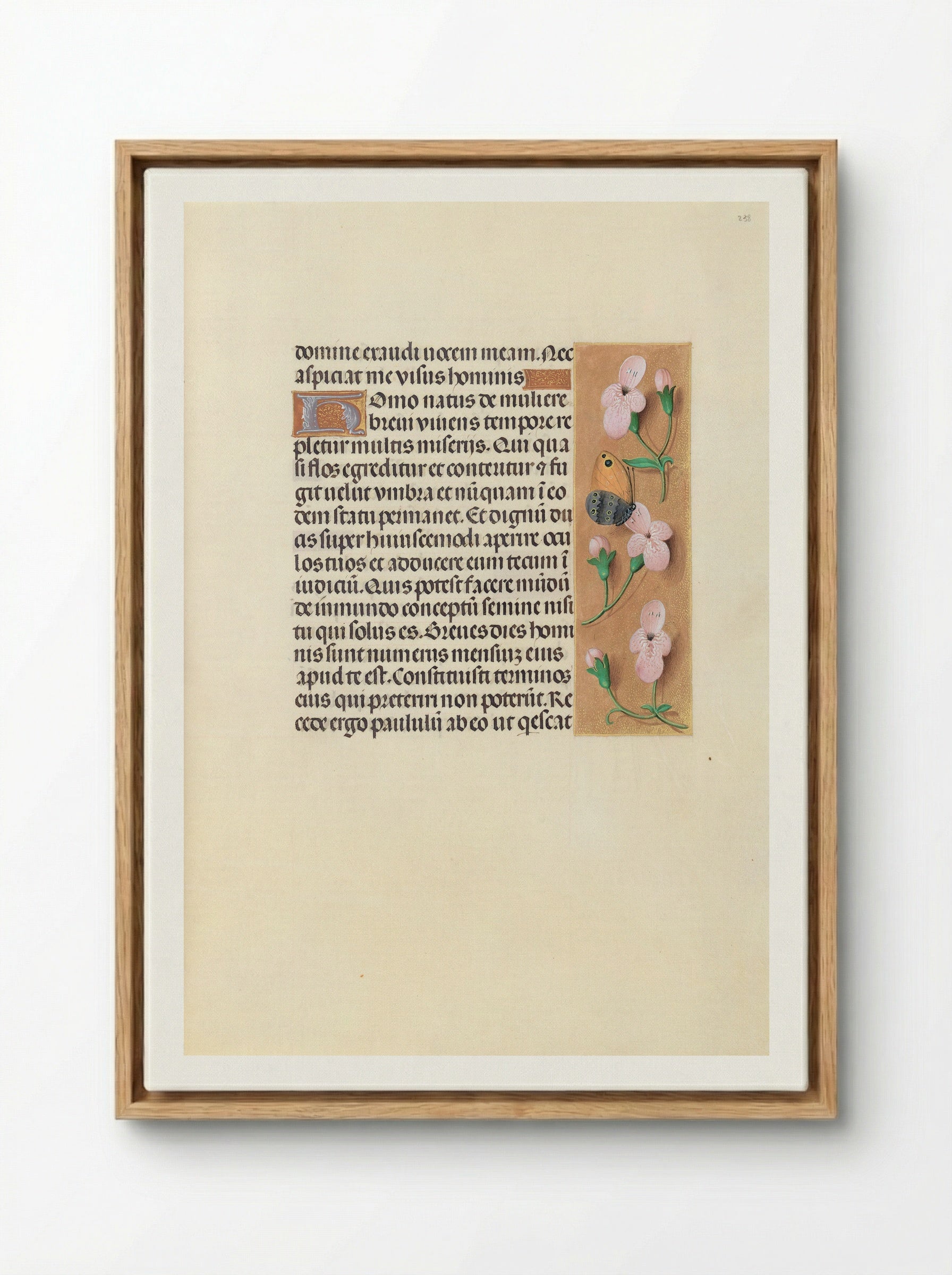 Hours of Queen Isabella the Catholic: Folio 238r - Master of the First Prayerbook of Maximilian - Framed Canvas Wood