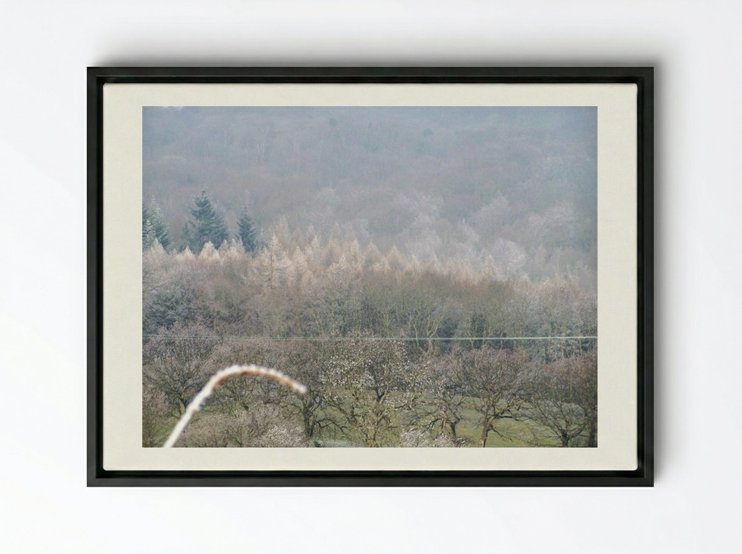 Tree, Tree - Terry Frost - Framed Canvas Black
